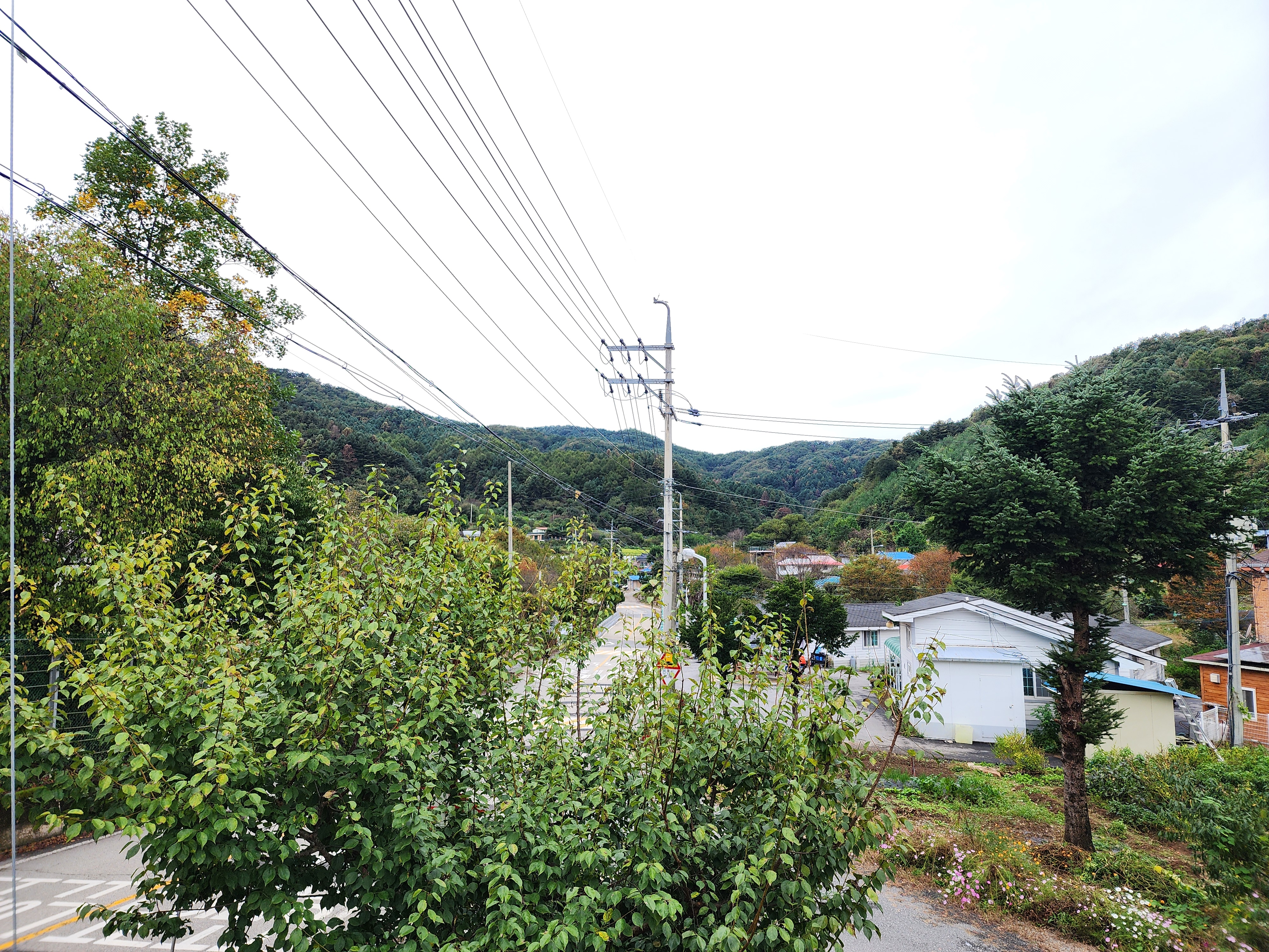 양평카라반파파 19번째 이미지