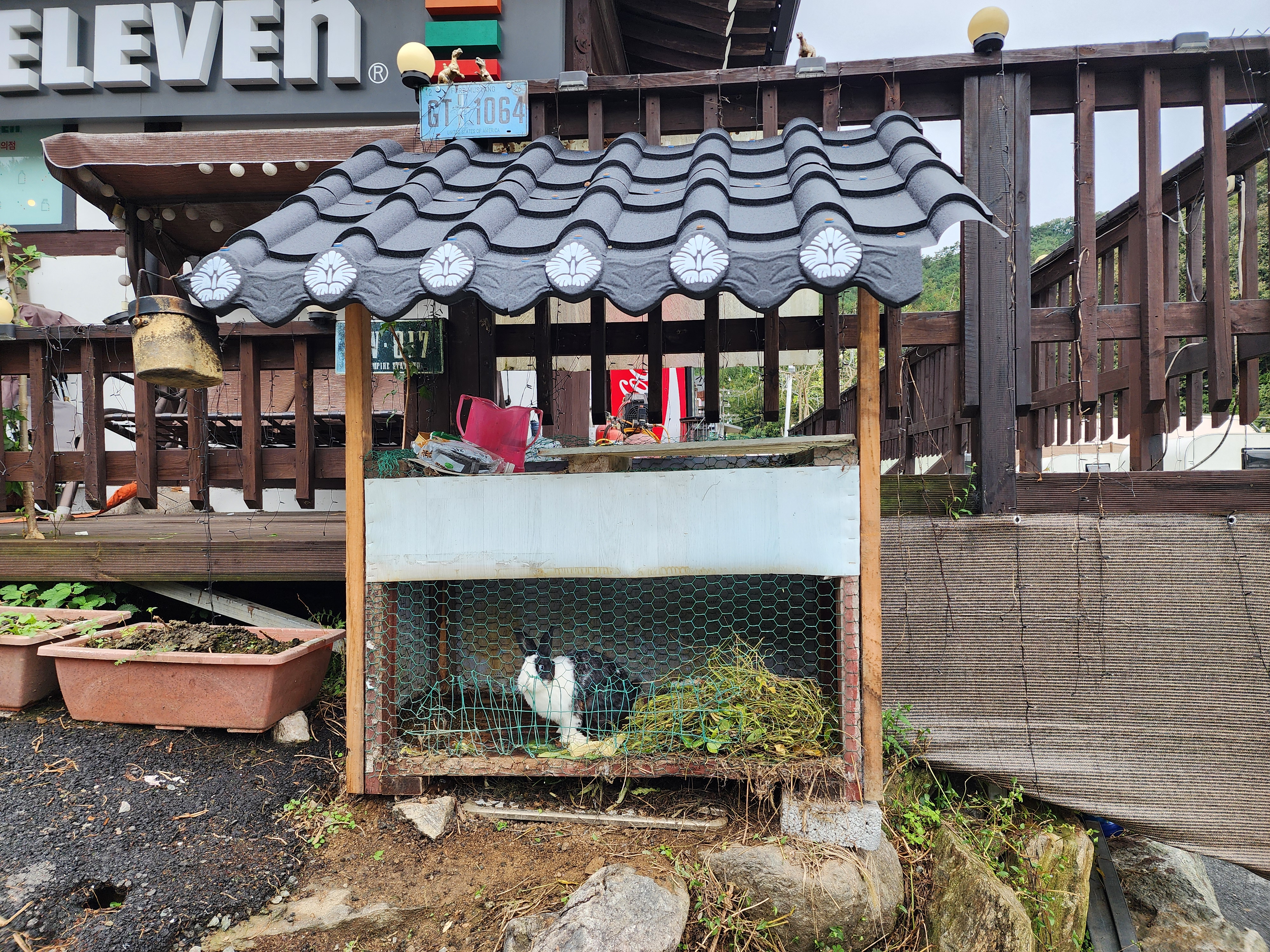 양평카라반파파 3번째 이미지