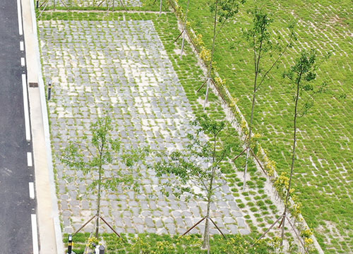 화순 고인돌 오토캠핑장 11번째 이미지