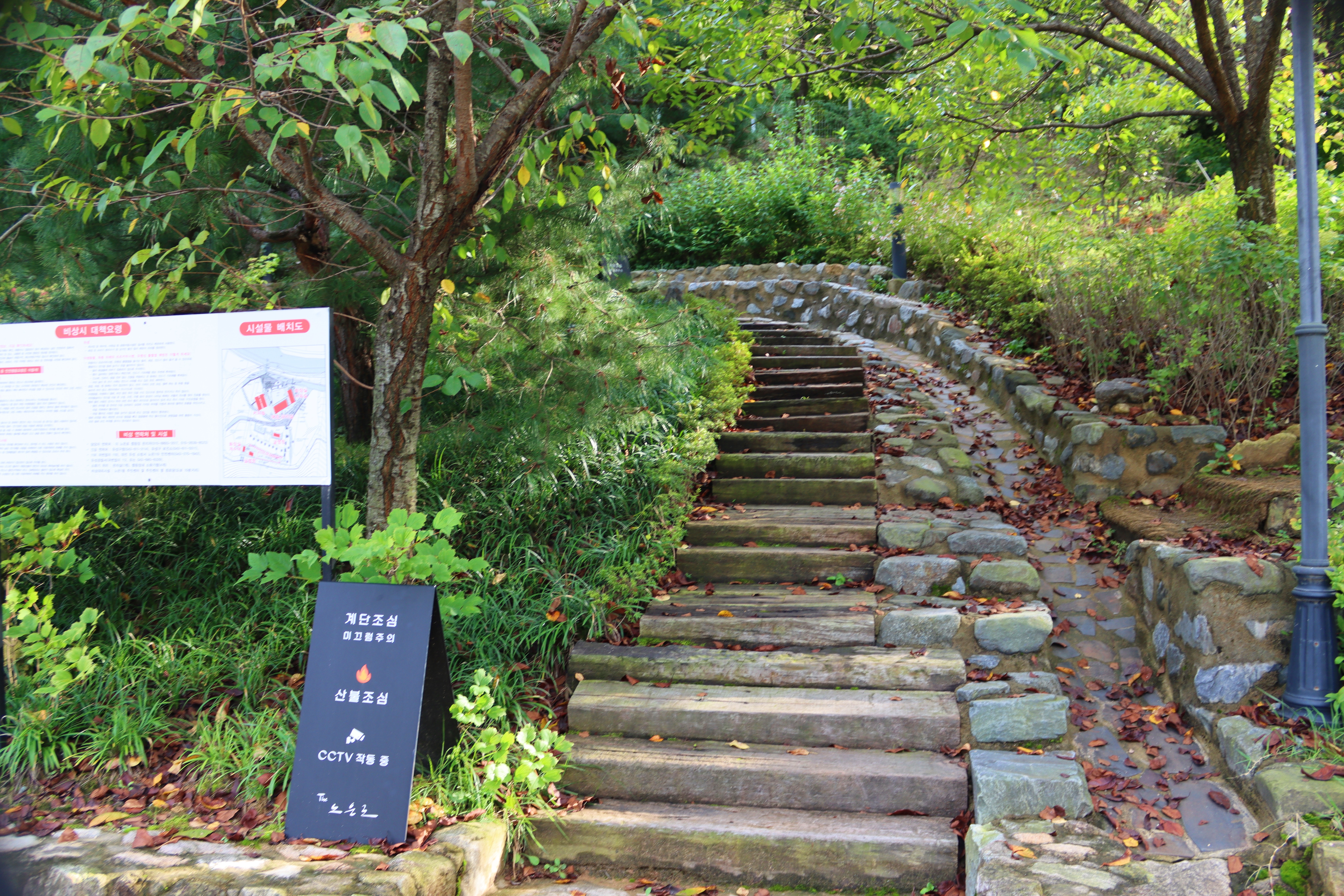 더 노은로 캠핑장 28번째 이미지