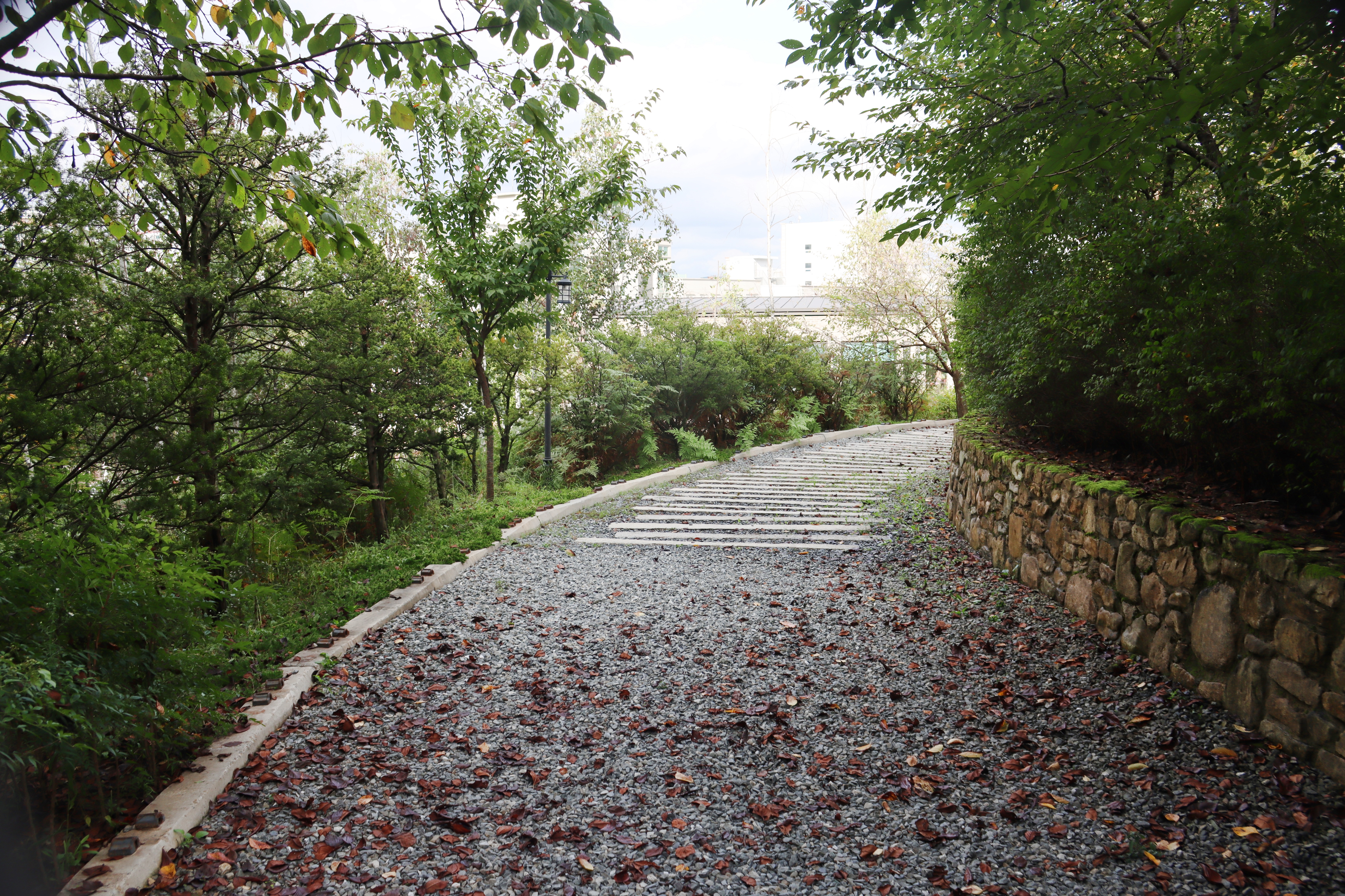 더 노은로 캠핑장 18번째 이미지