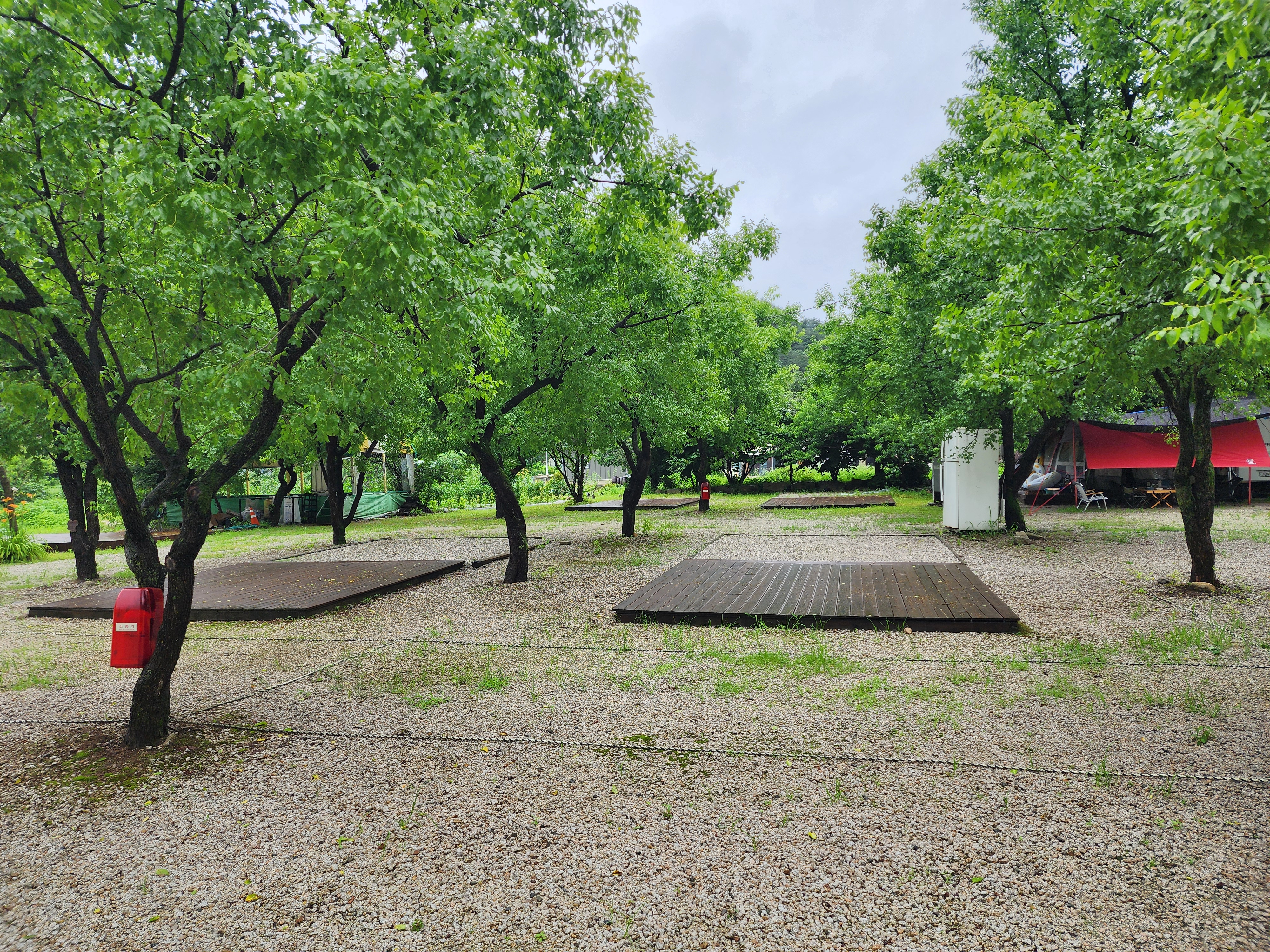 약사밤나무집 캠핑장 1번째 이미지