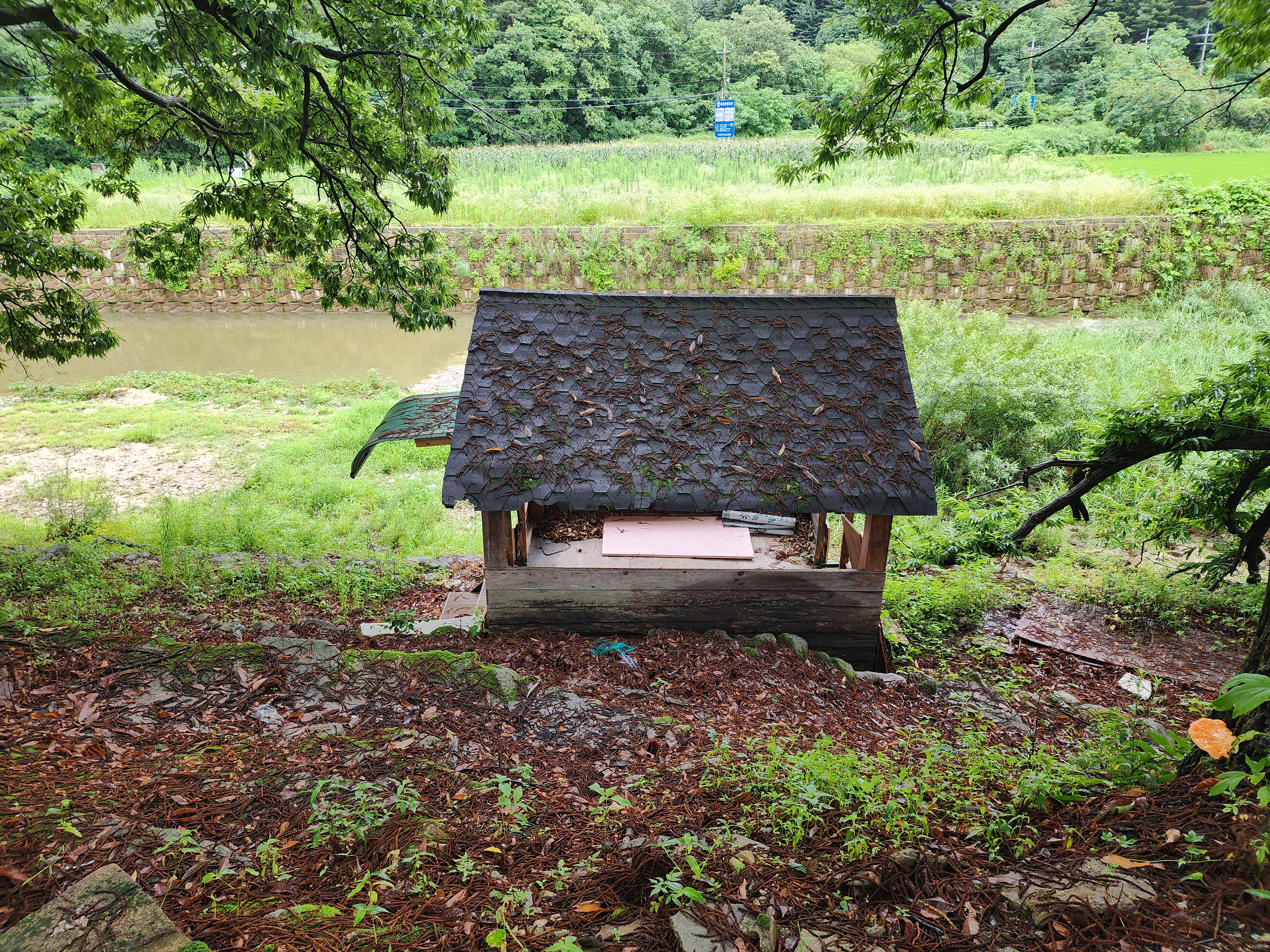 약사밤나무집 캠핑장 17번째 이미지