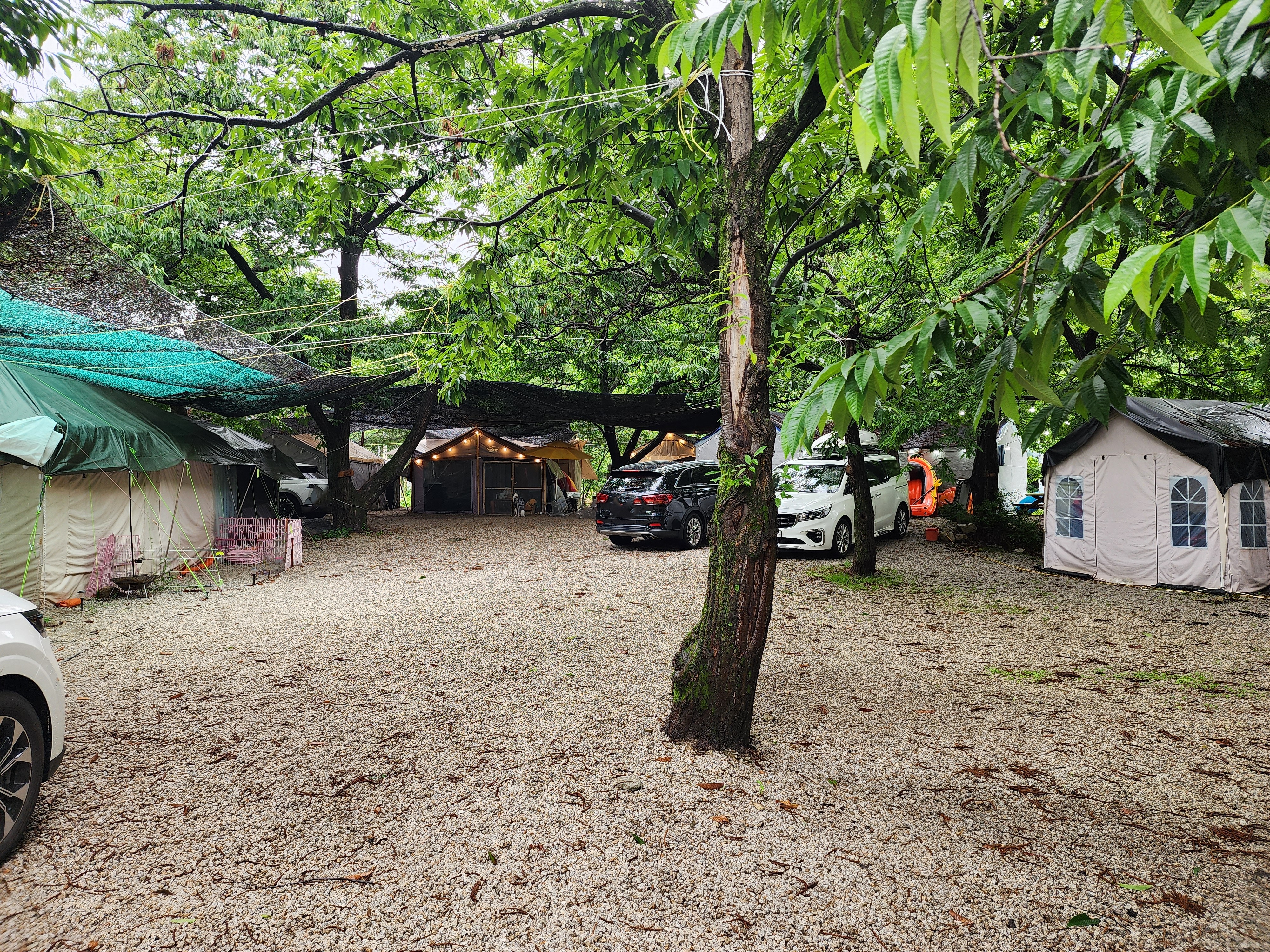 약사밤나무집 캠핑장 15번째 이미지