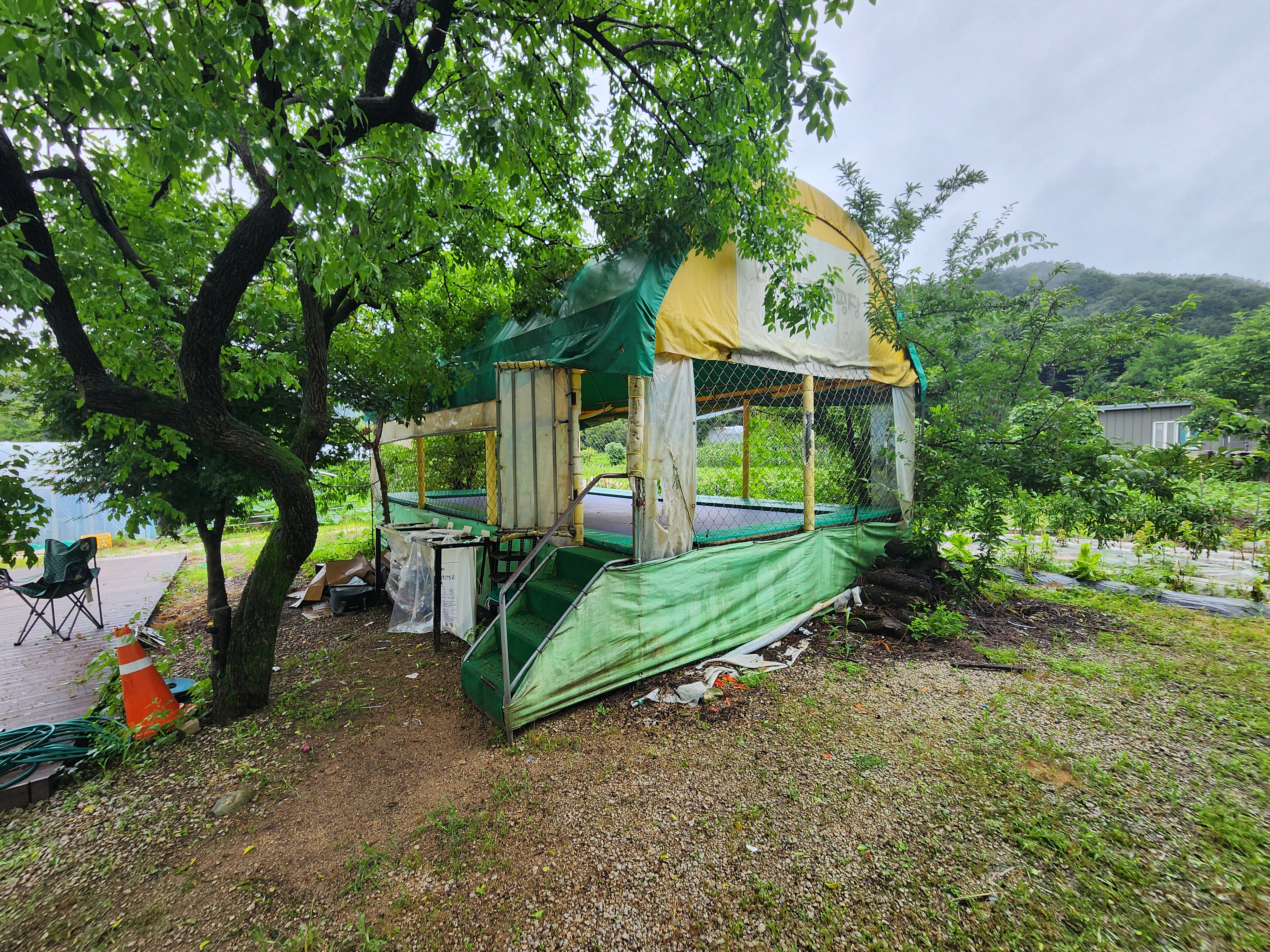 약사밤나무집 캠핑장 11번째 이미지