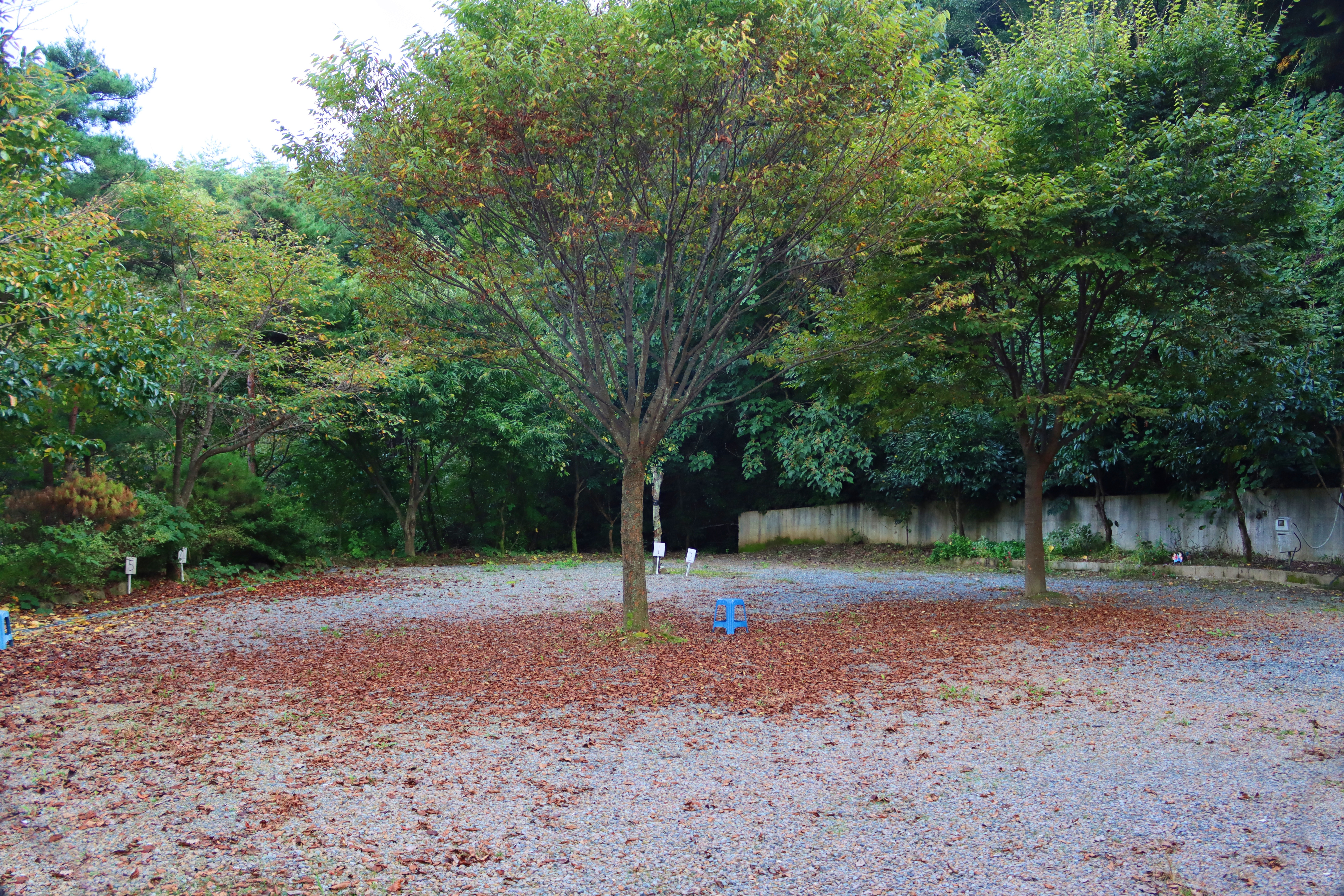 가야산백운오토캠핑장 19번째 이미지