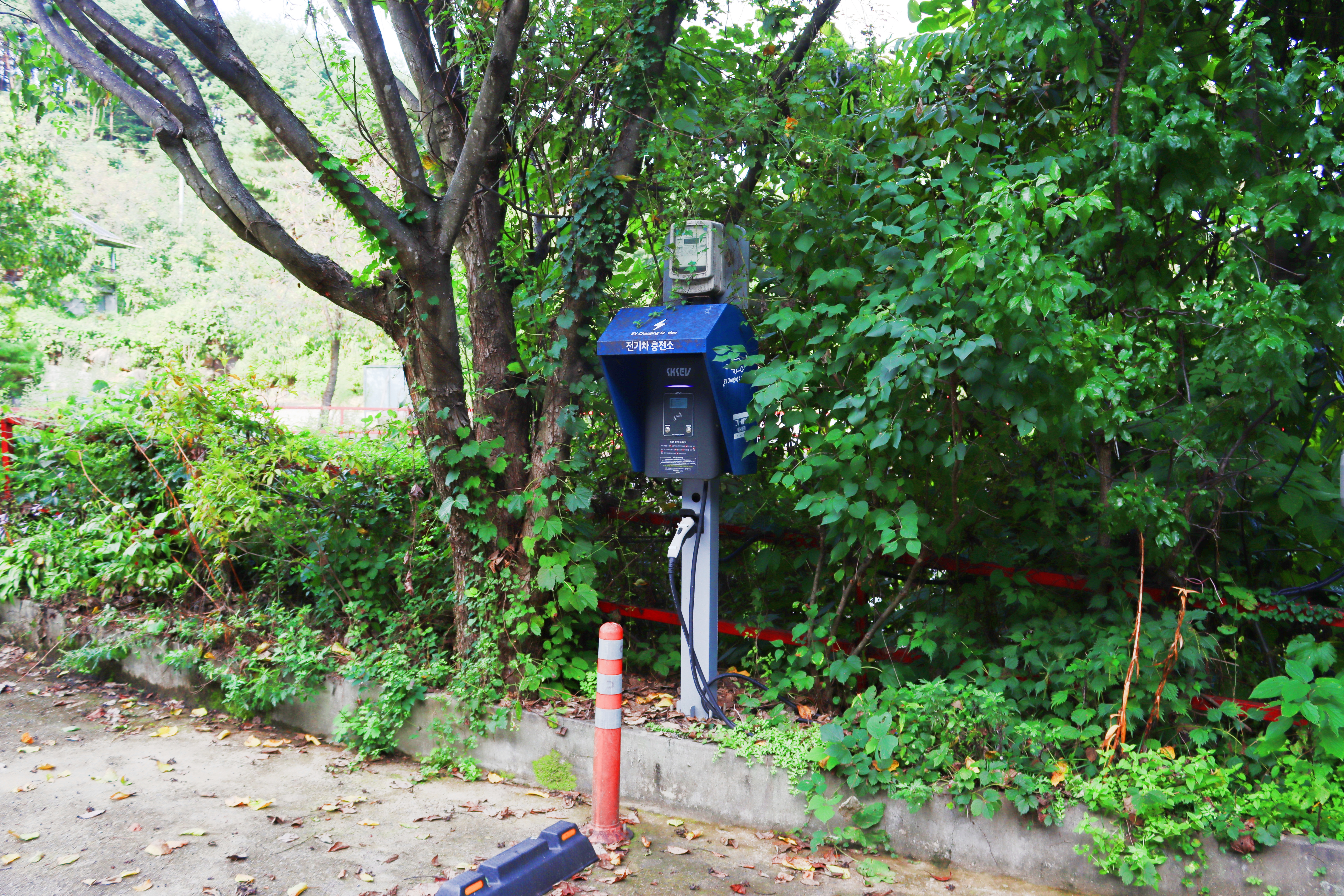 가야산백운오토캠핑장 20번째 이미지