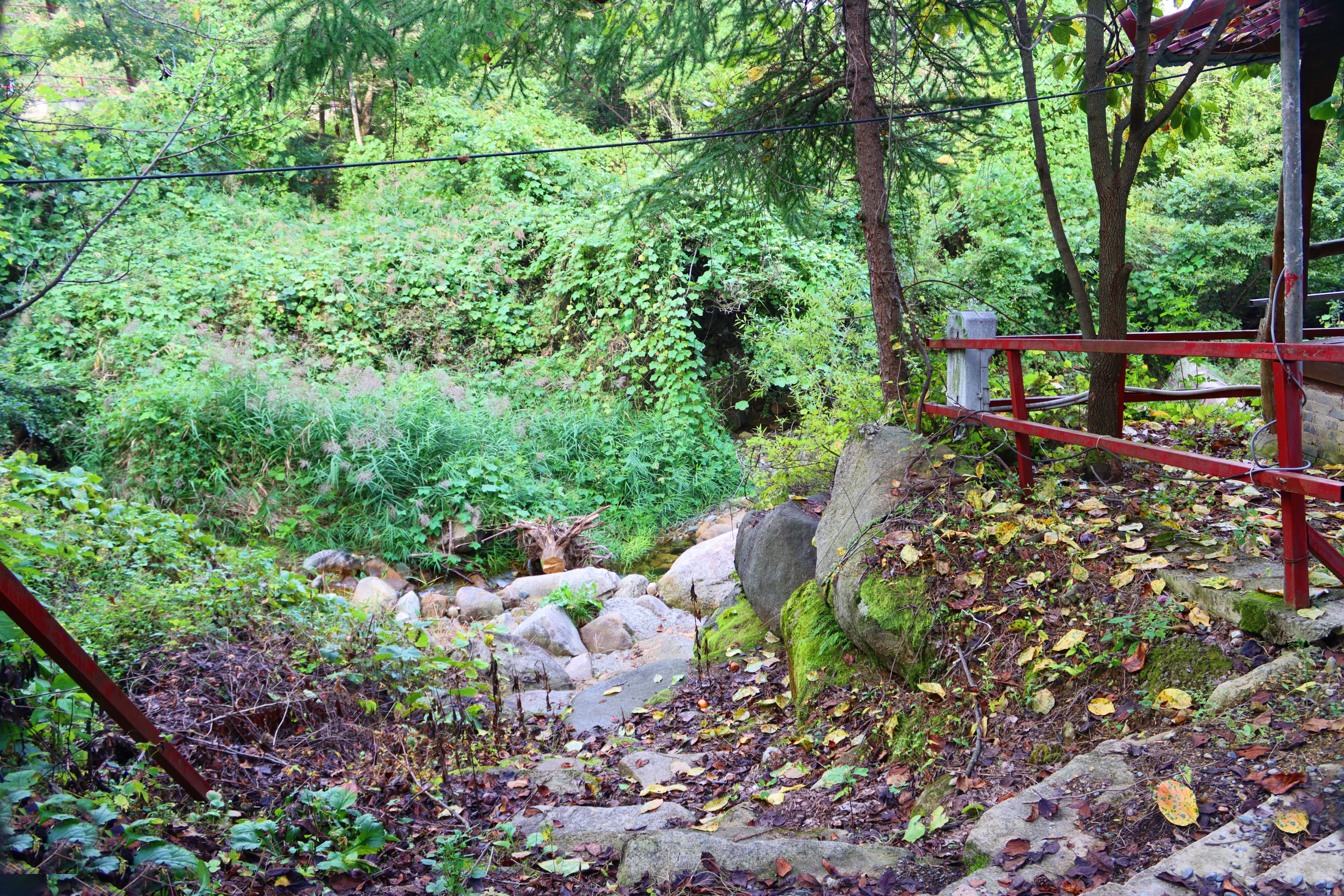 가야산백운오토캠핑장 17번째 이미지