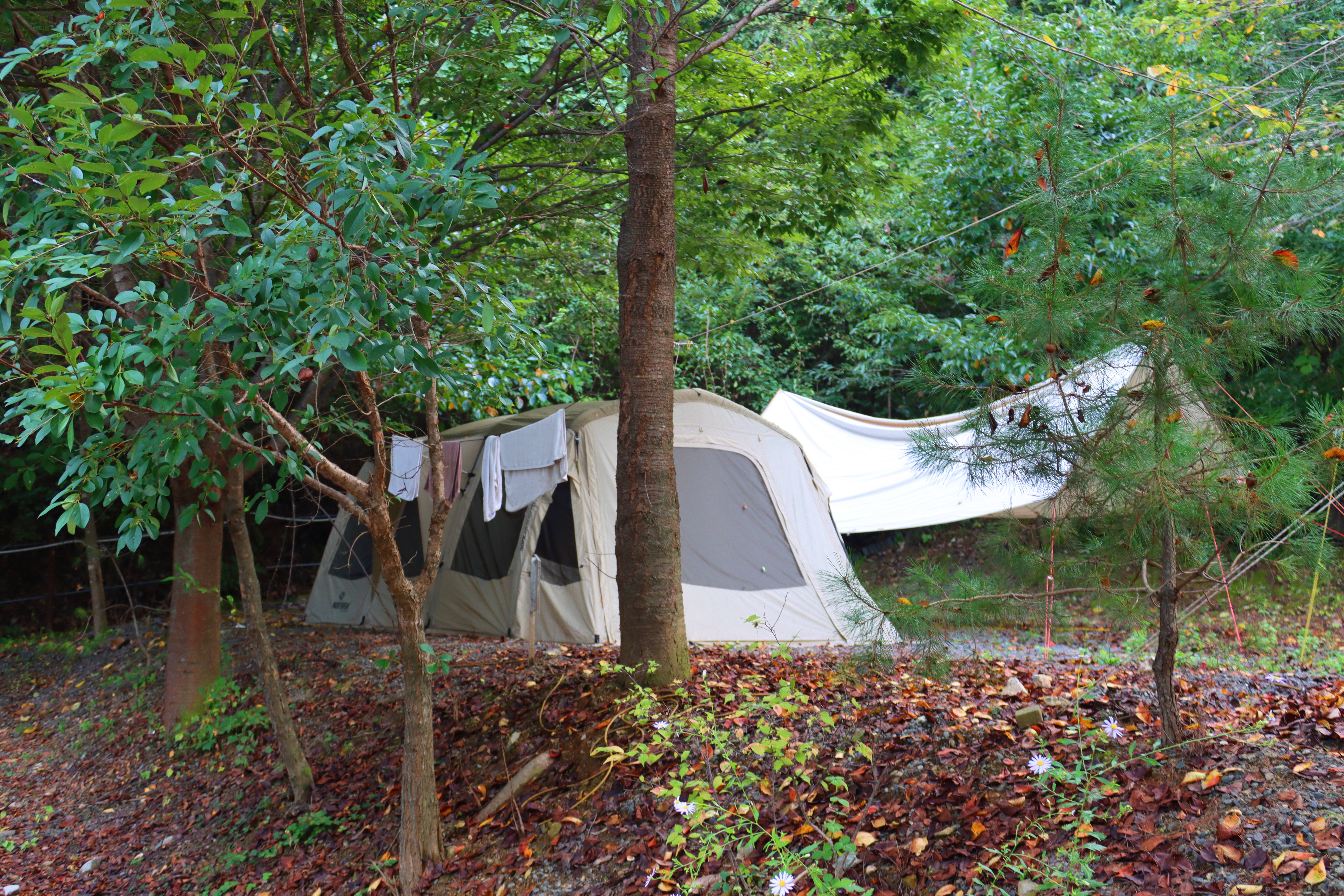 가야산백운오토캠핑장 12번째 이미지