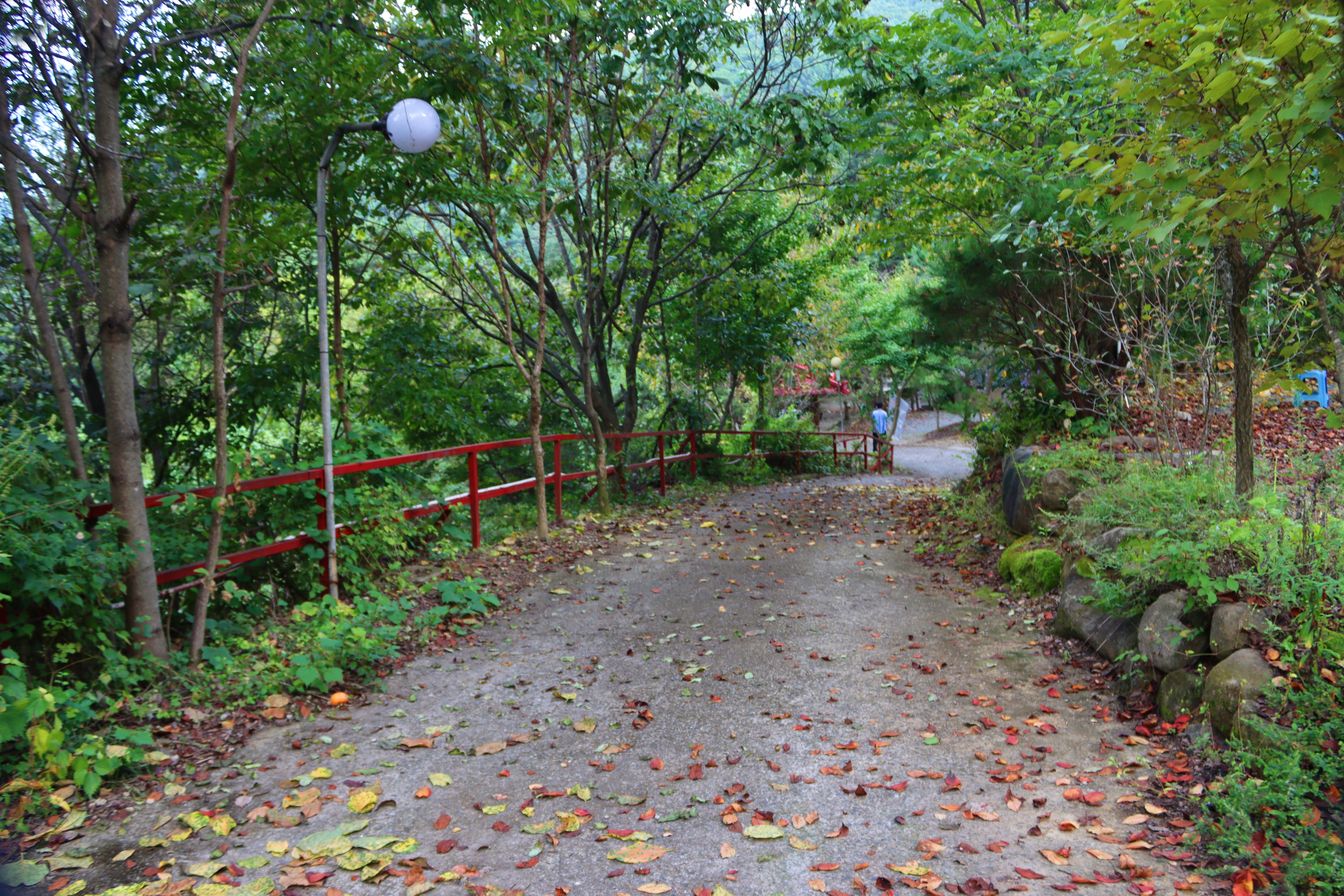 가야산백운오토캠핑장 9번째 이미지