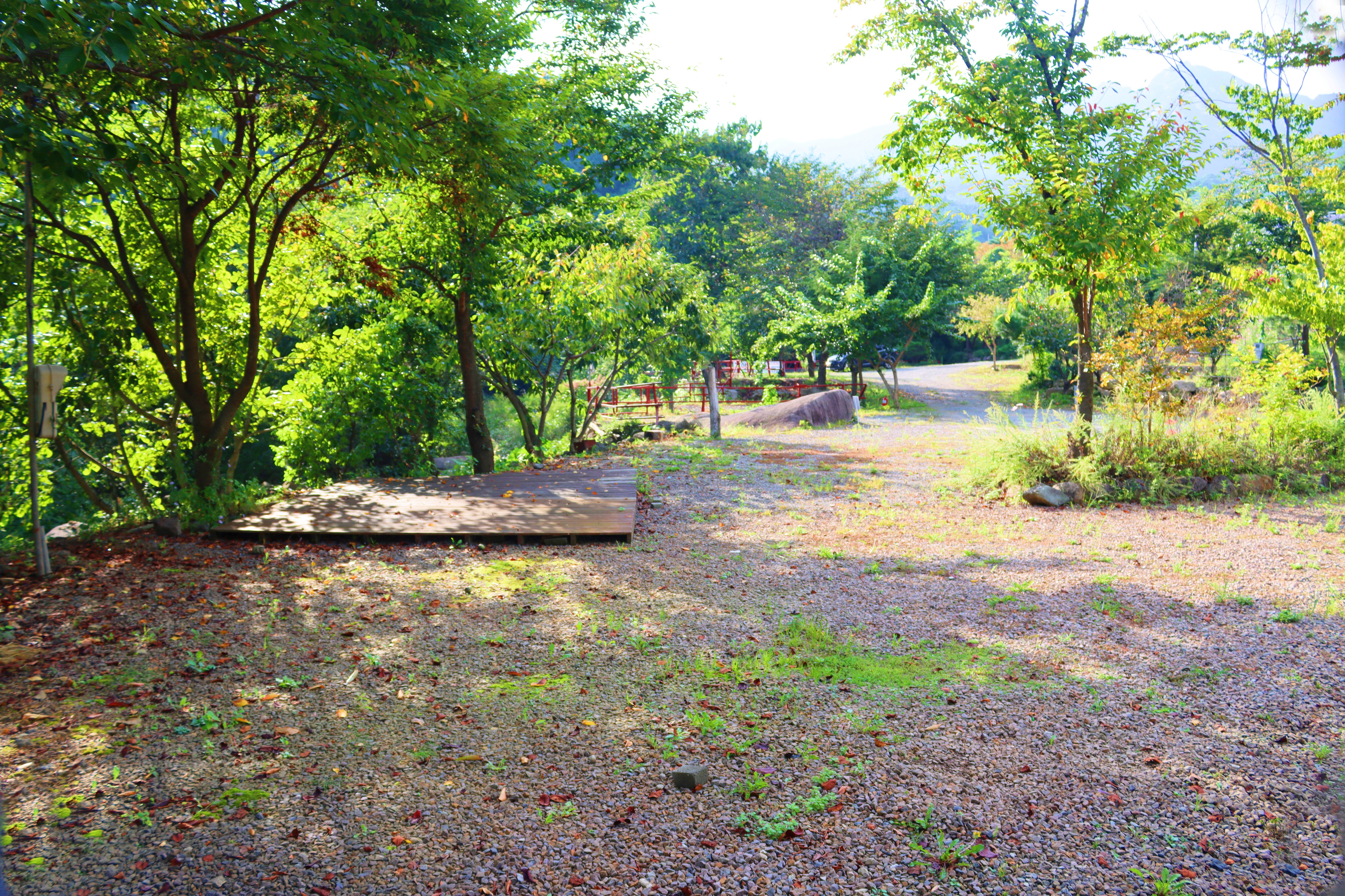 가야산백운오토캠핑장 23번째 이미지