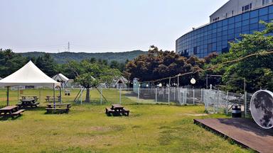 골드펫리조트 사진