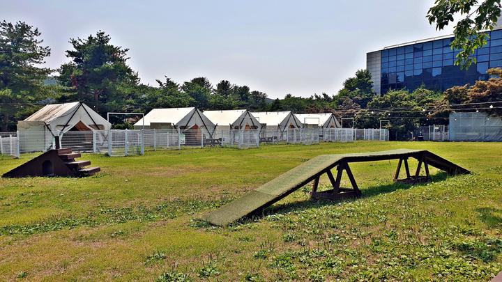 골드펫리조트 - 경기 용인시 기흥구 기흥단지로 406 (고매동, 골드훼미리콘도) 캠핑장 이미지