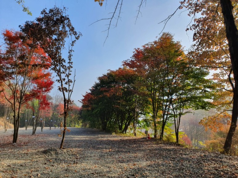 달빛야영장 5번째 이미지