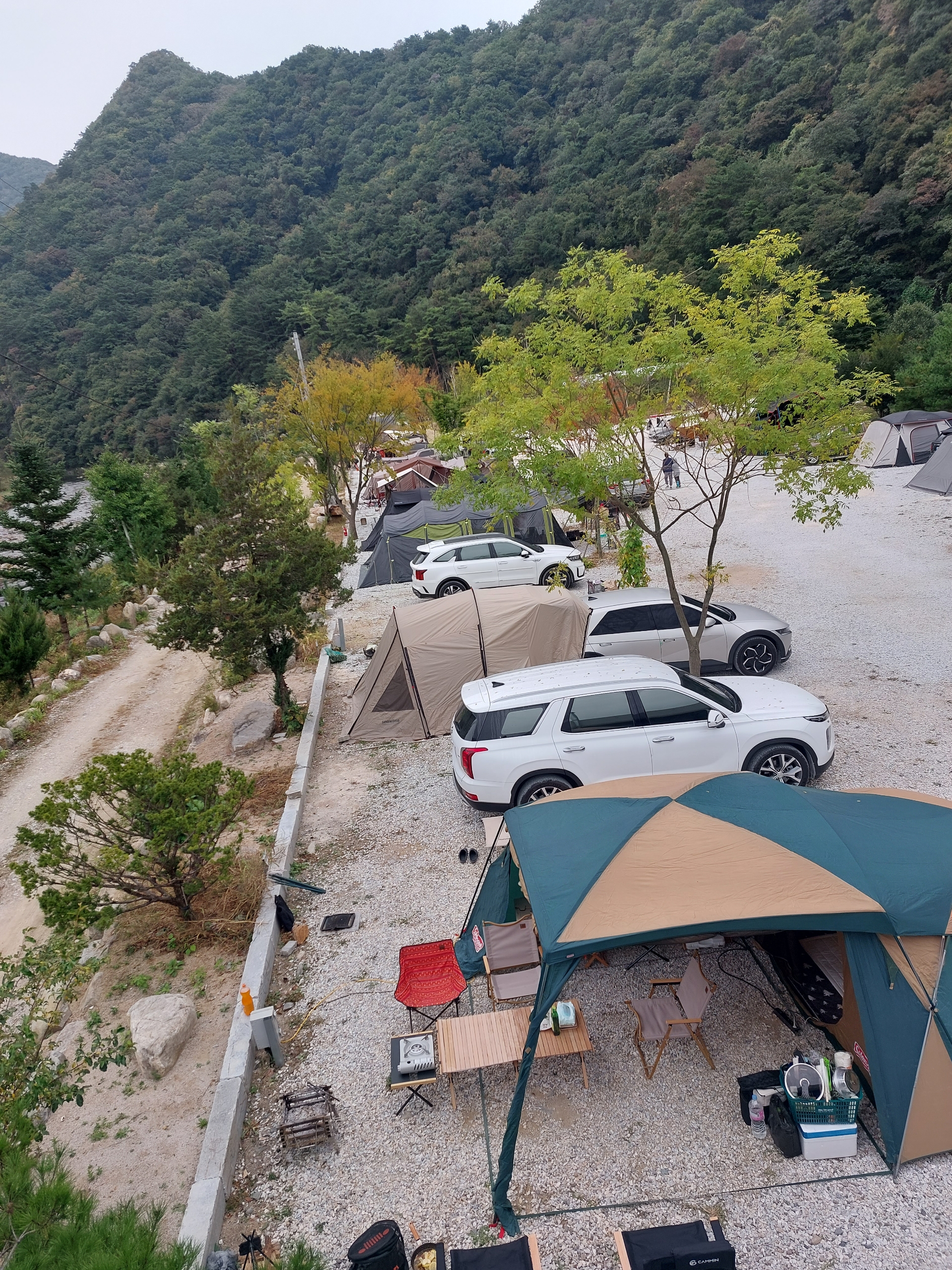 파인트리캠핑장 이미지