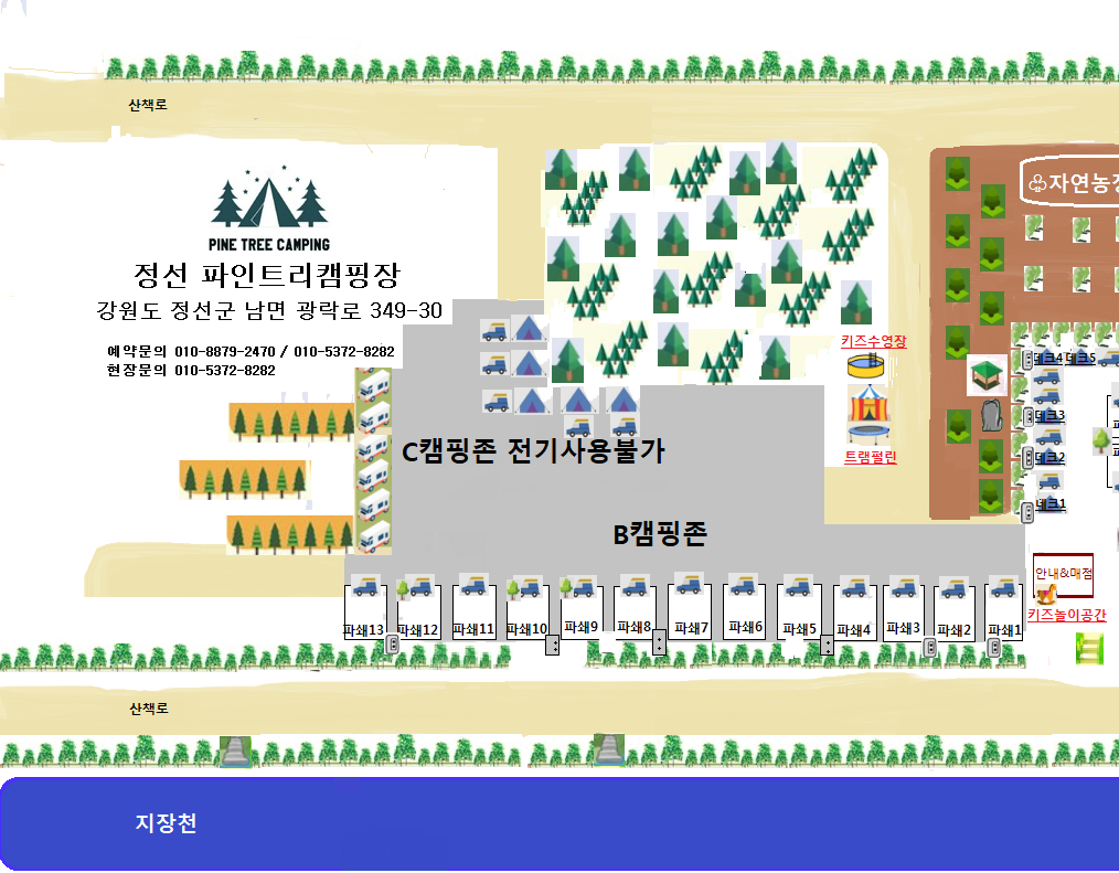 파인트리캠핑장 이미지