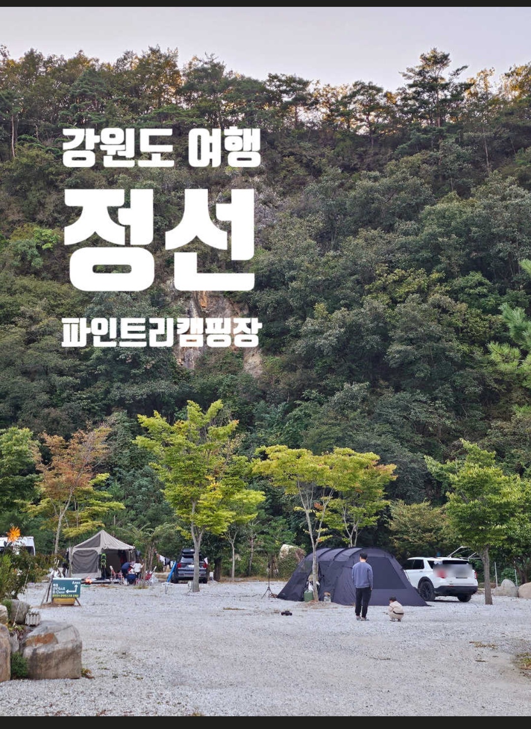 파인트리캠핑장 이미지