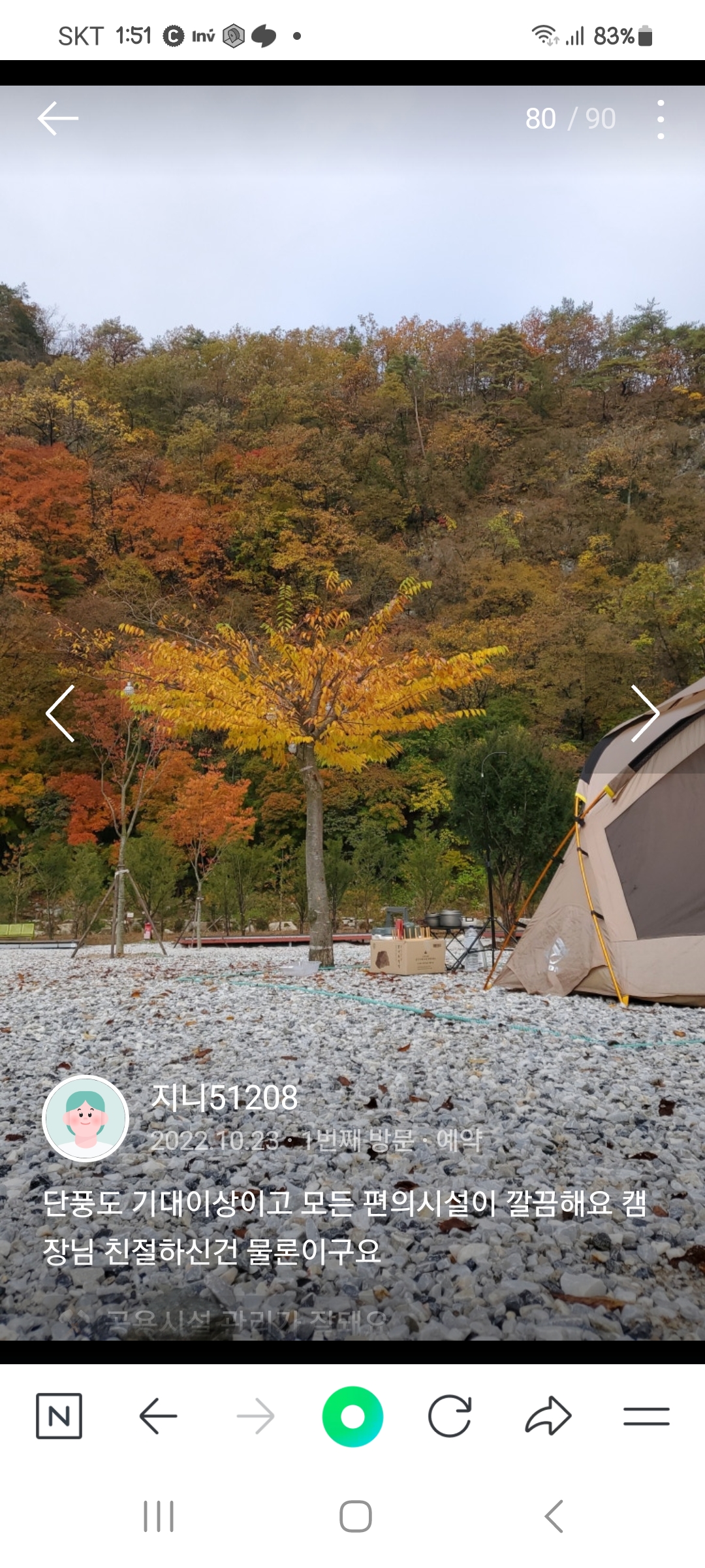 파인트리캠핑장 이미지
