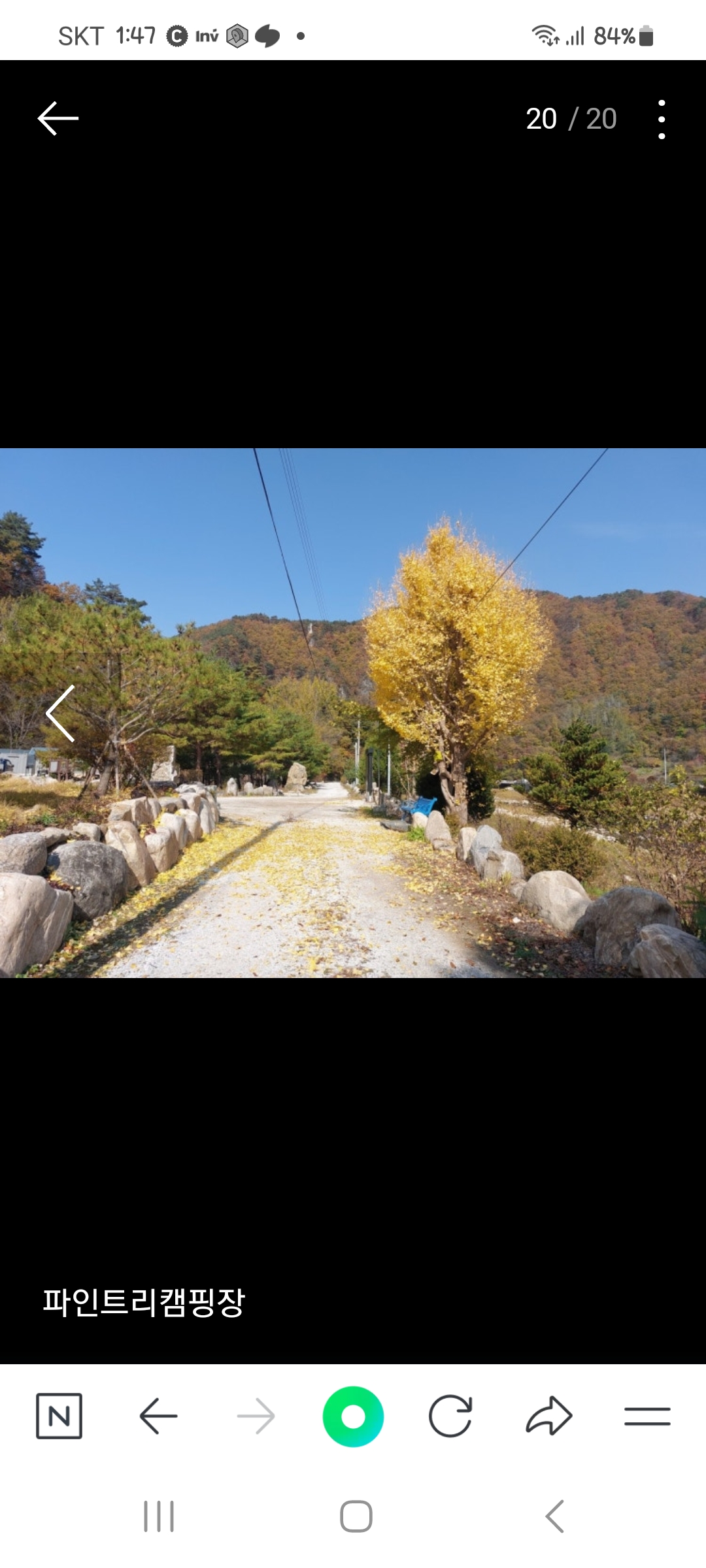 파인트리캠핑장 이미지