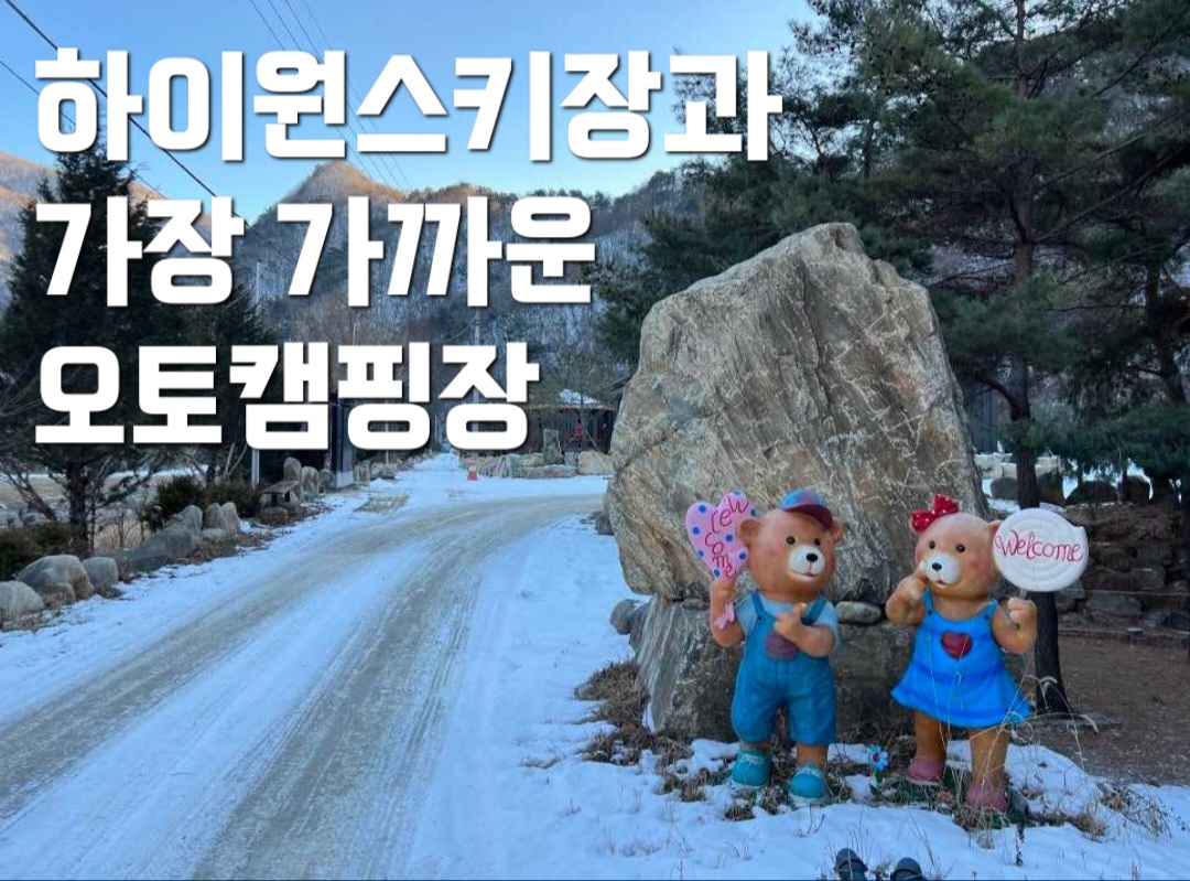 파인트리캠핑장 이미지