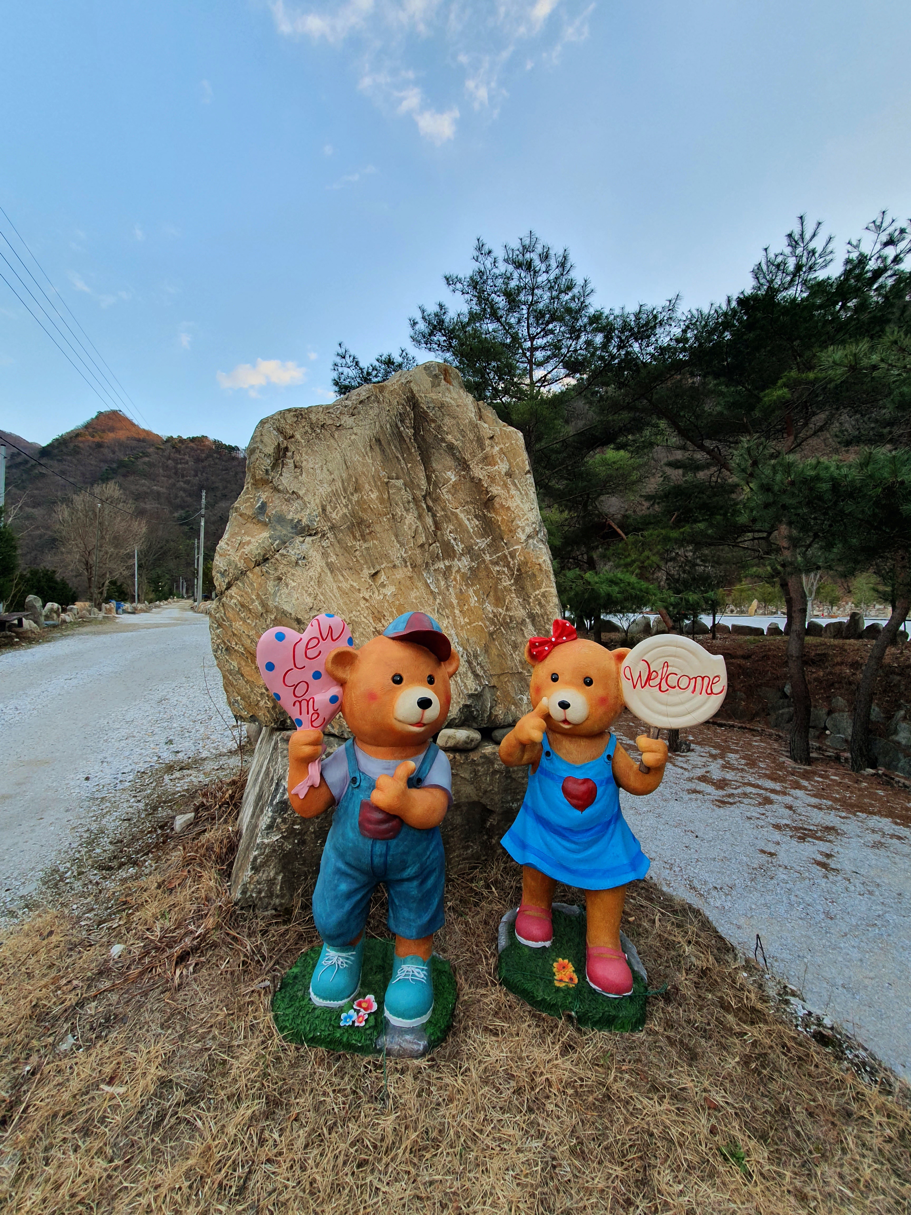 파인트리캠핑장 이미지