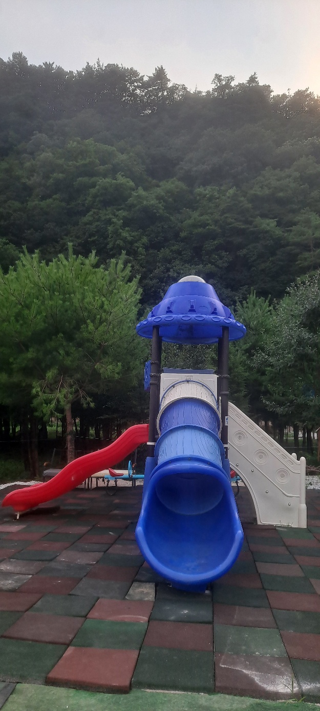 파인트리캠핑장 이미지