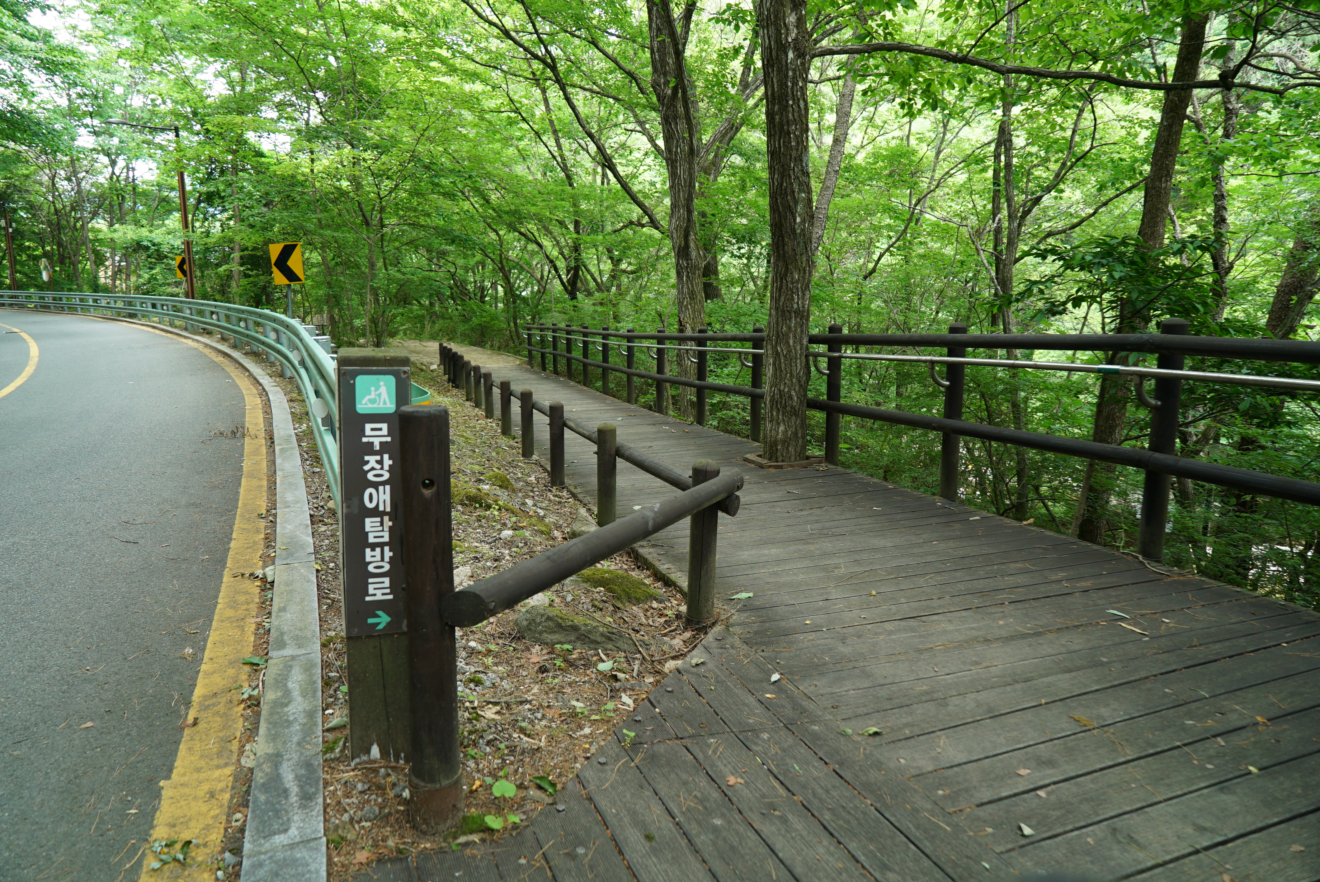 덕유대자동차야영장 이미지