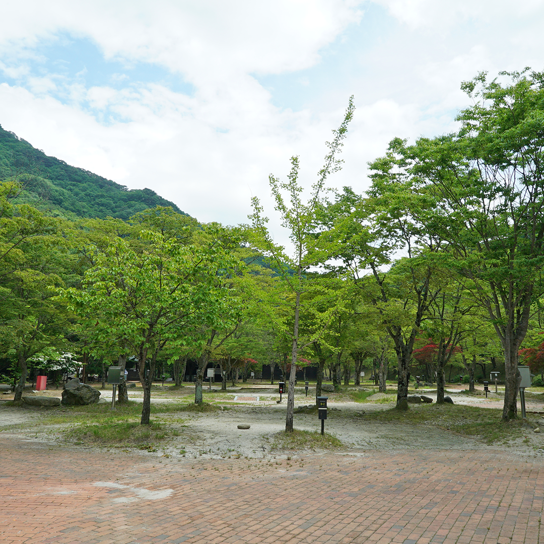 덕유대자동차야영장 이미지