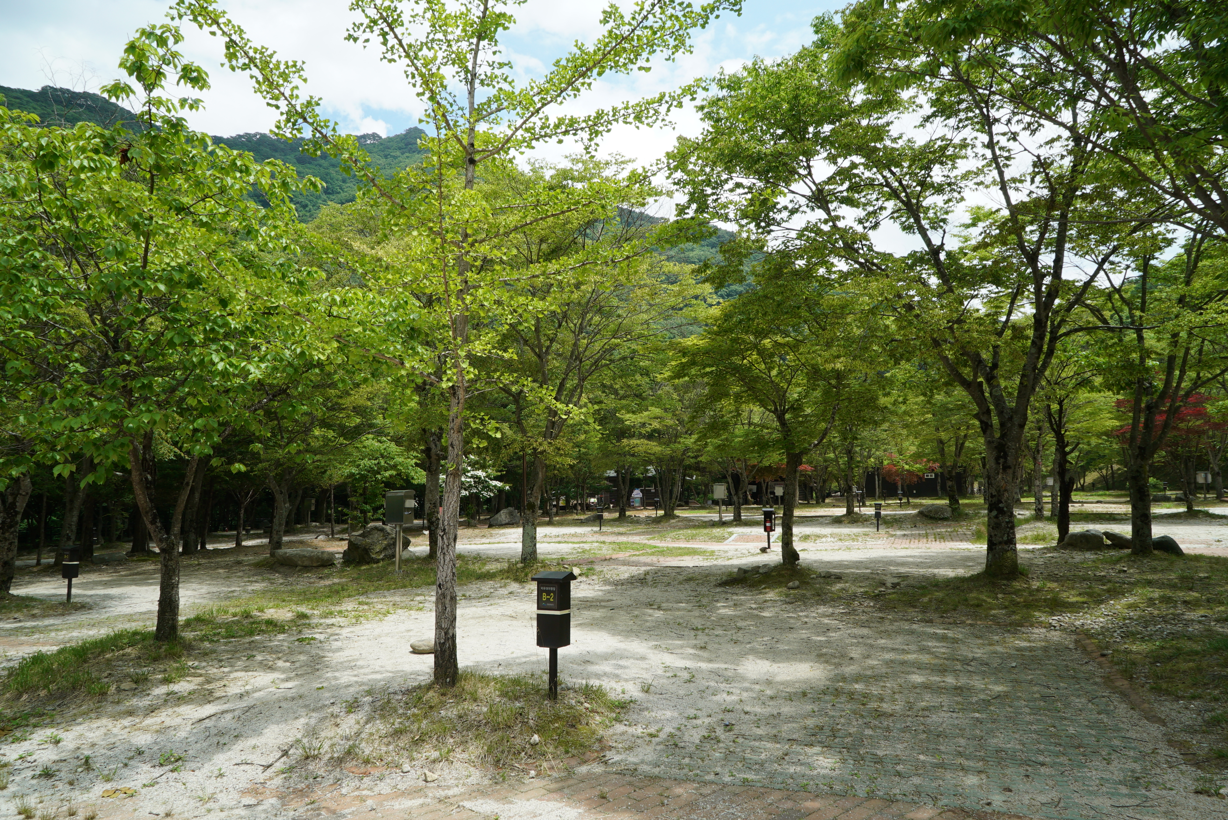 덕유대자동차야영장 이미지