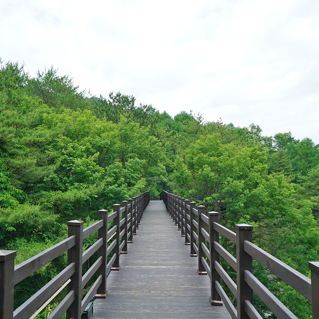 덕유대자동차야영장 이미지