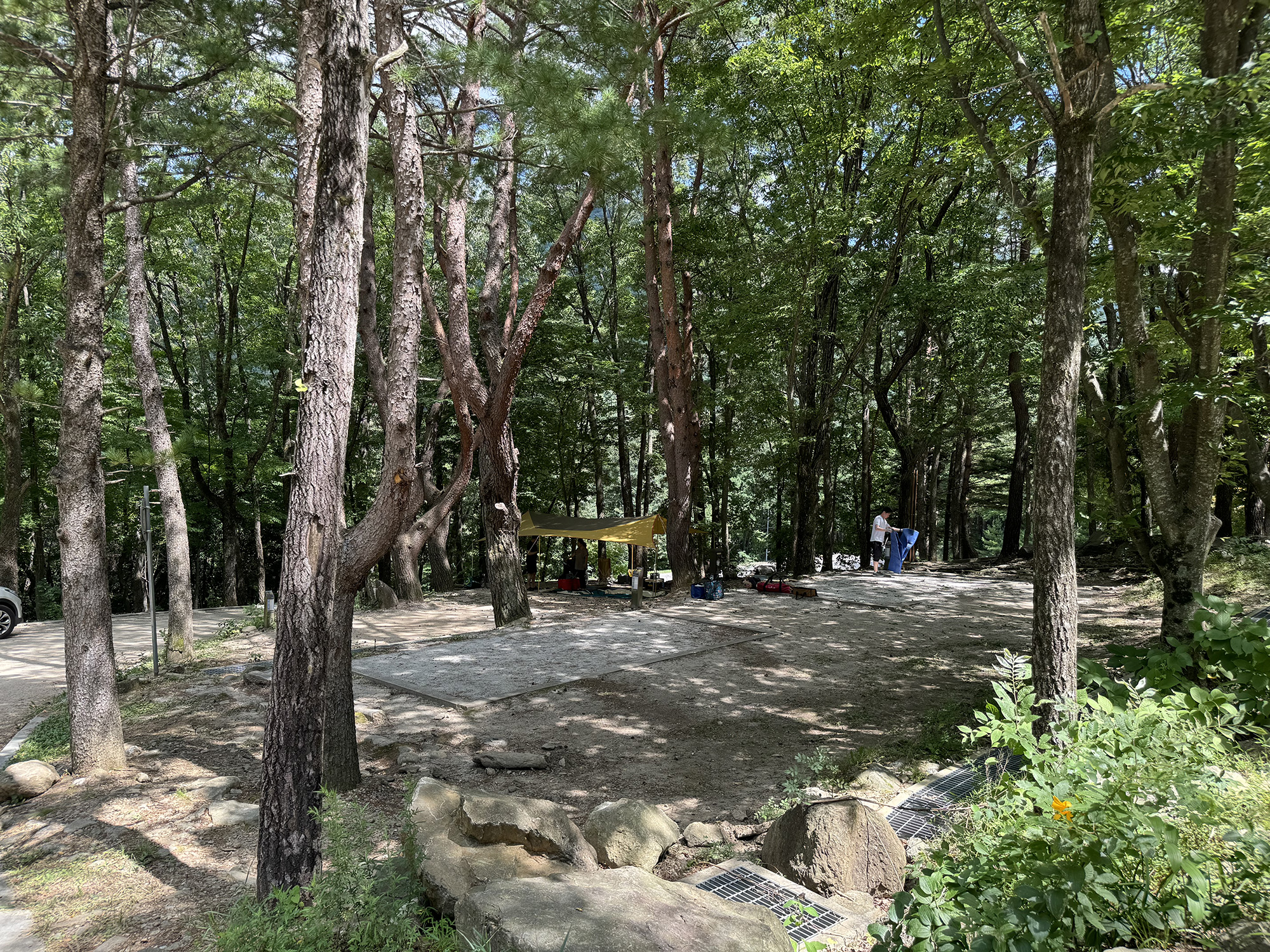 덕유대자동차야영장 18번째 이미지
