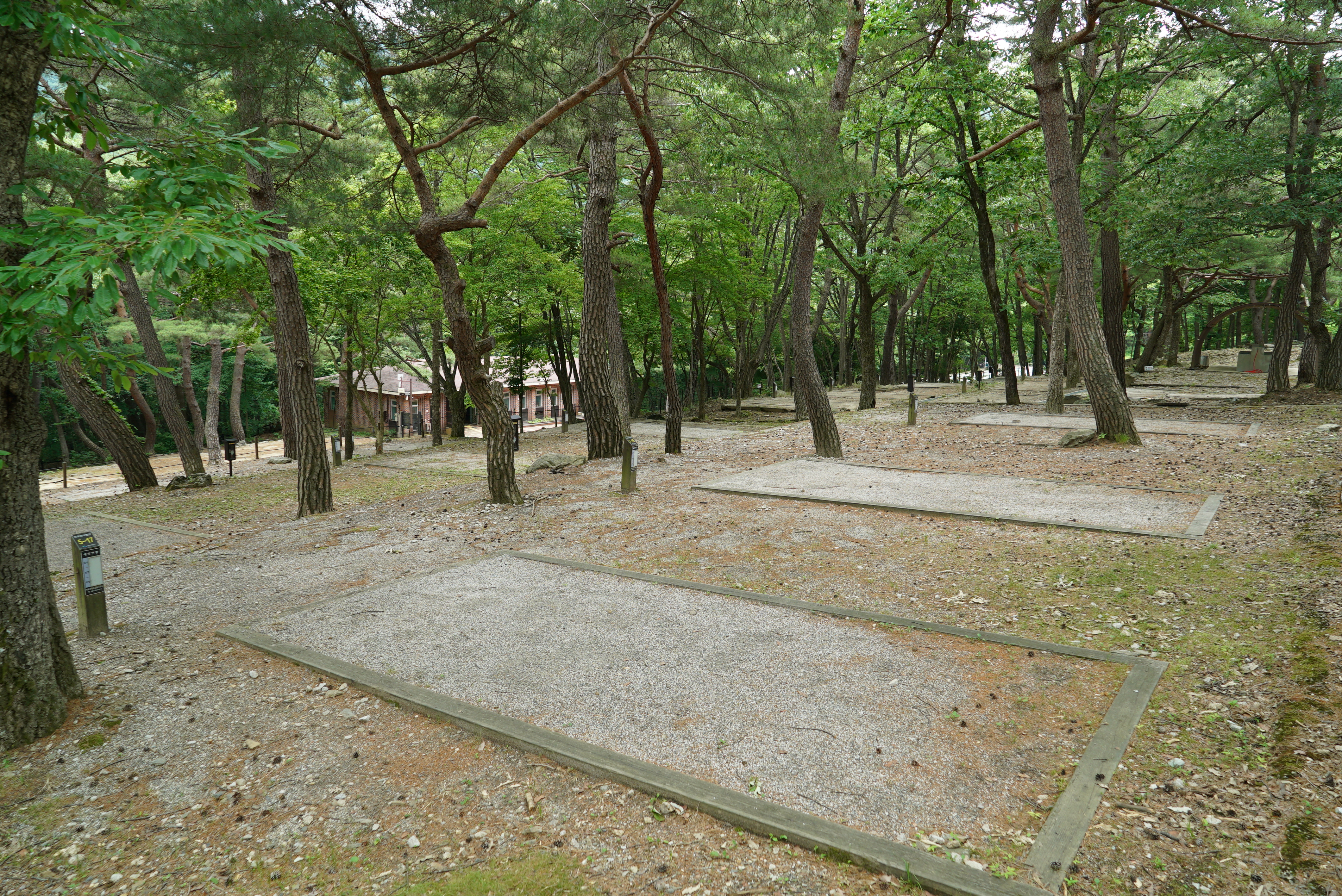 덕유대자동차야영장 이미지