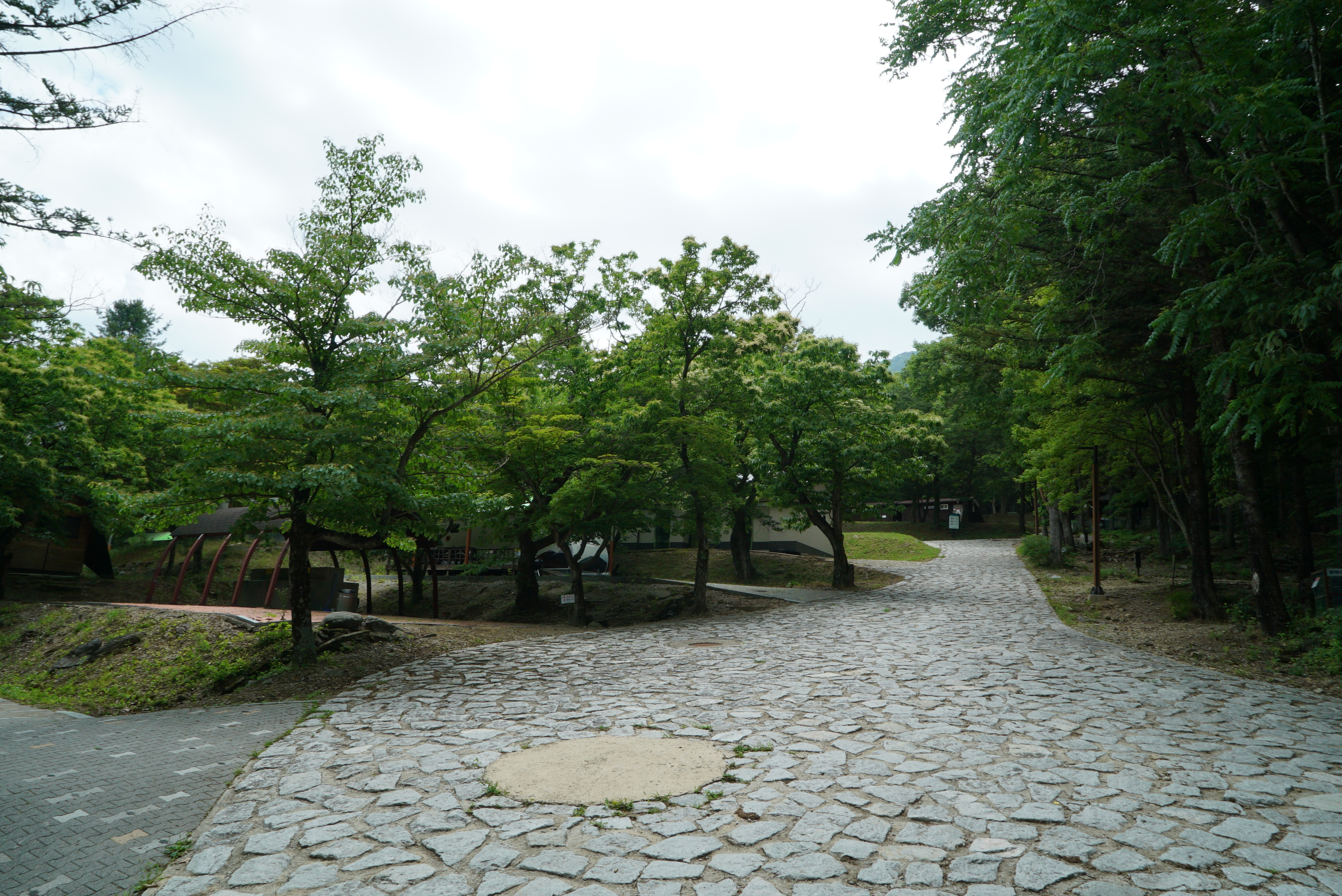 덕유대자동차야영장 이미지