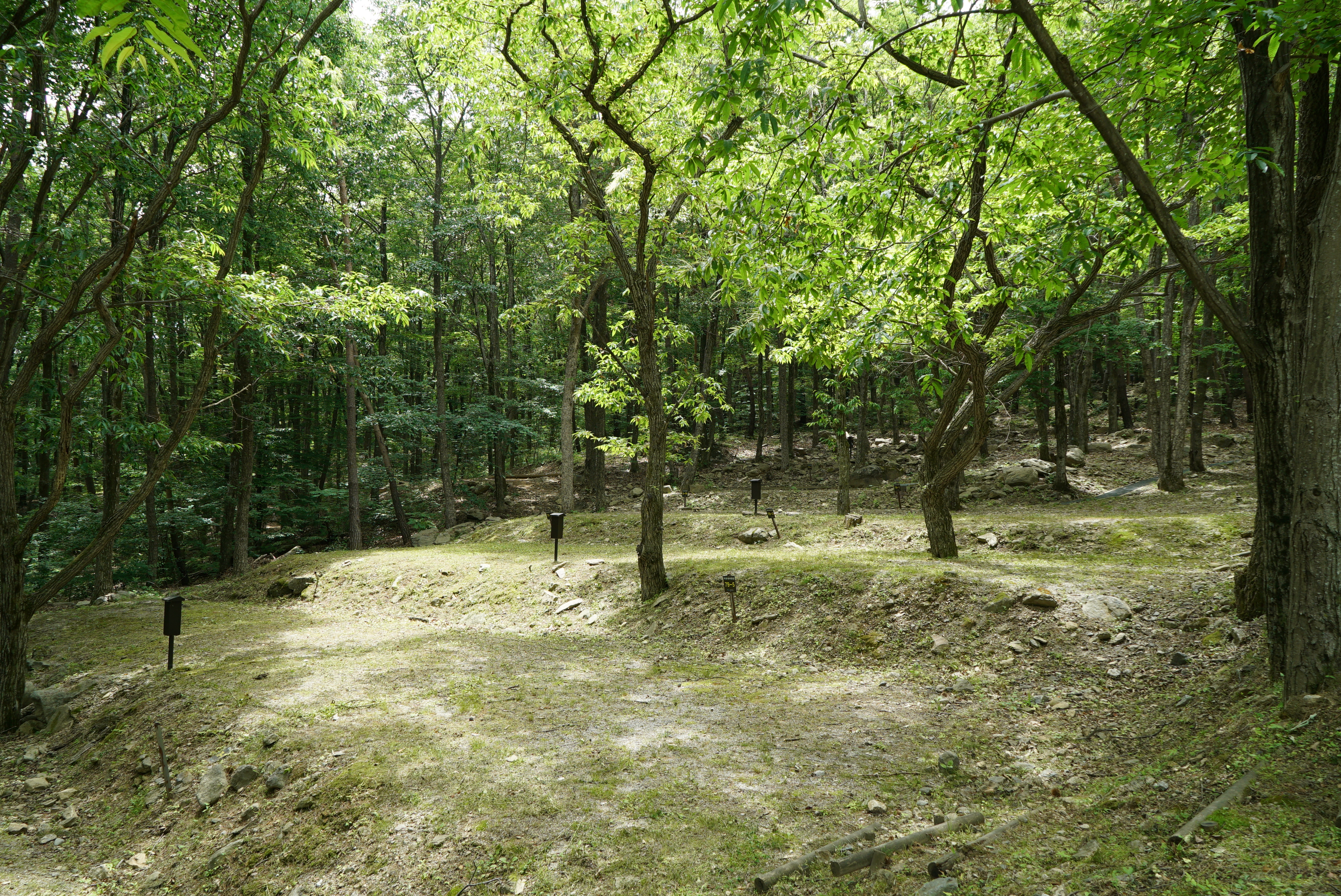 덕유대자동차야영장 이미지