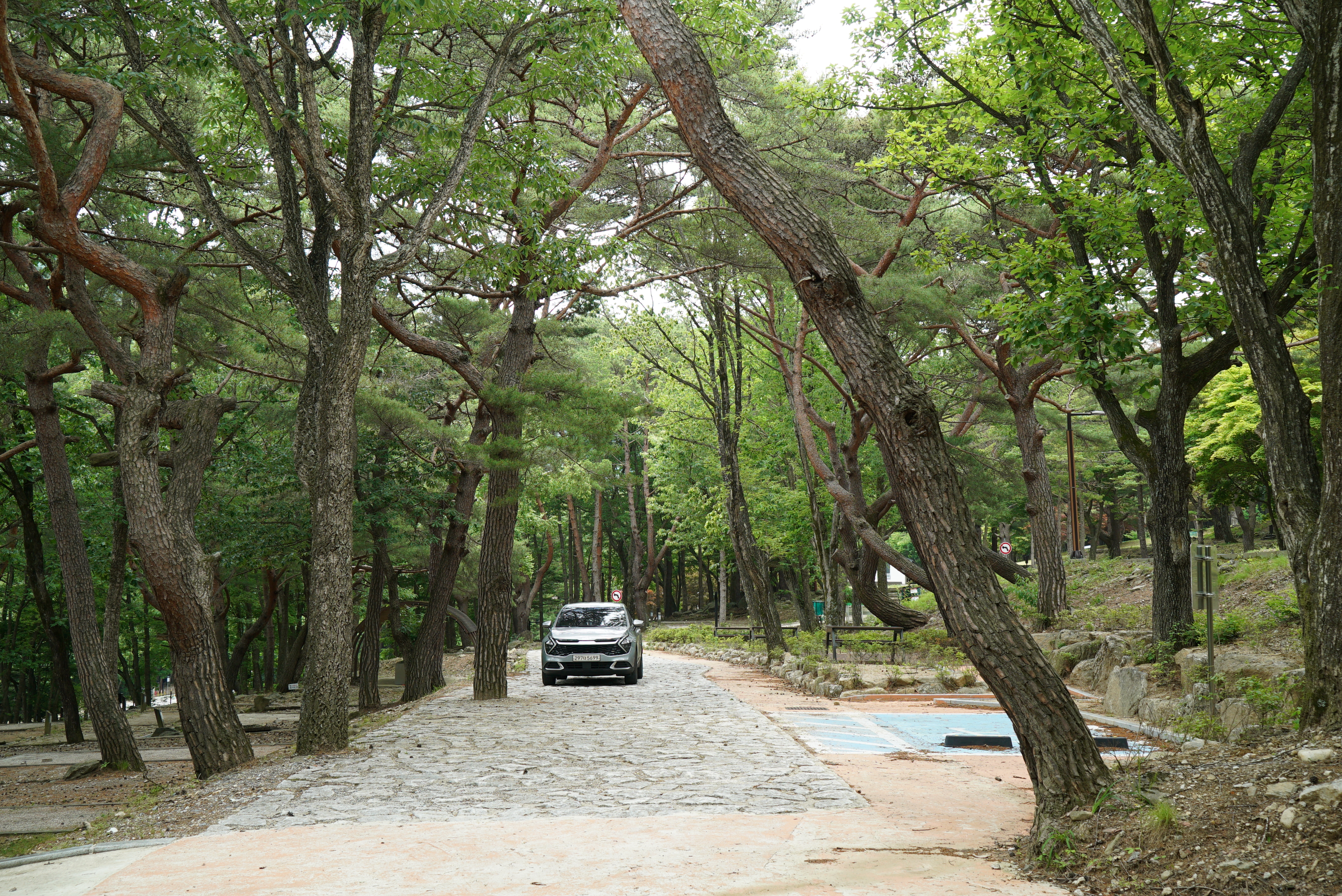 덕유대자동차야영장 이미지