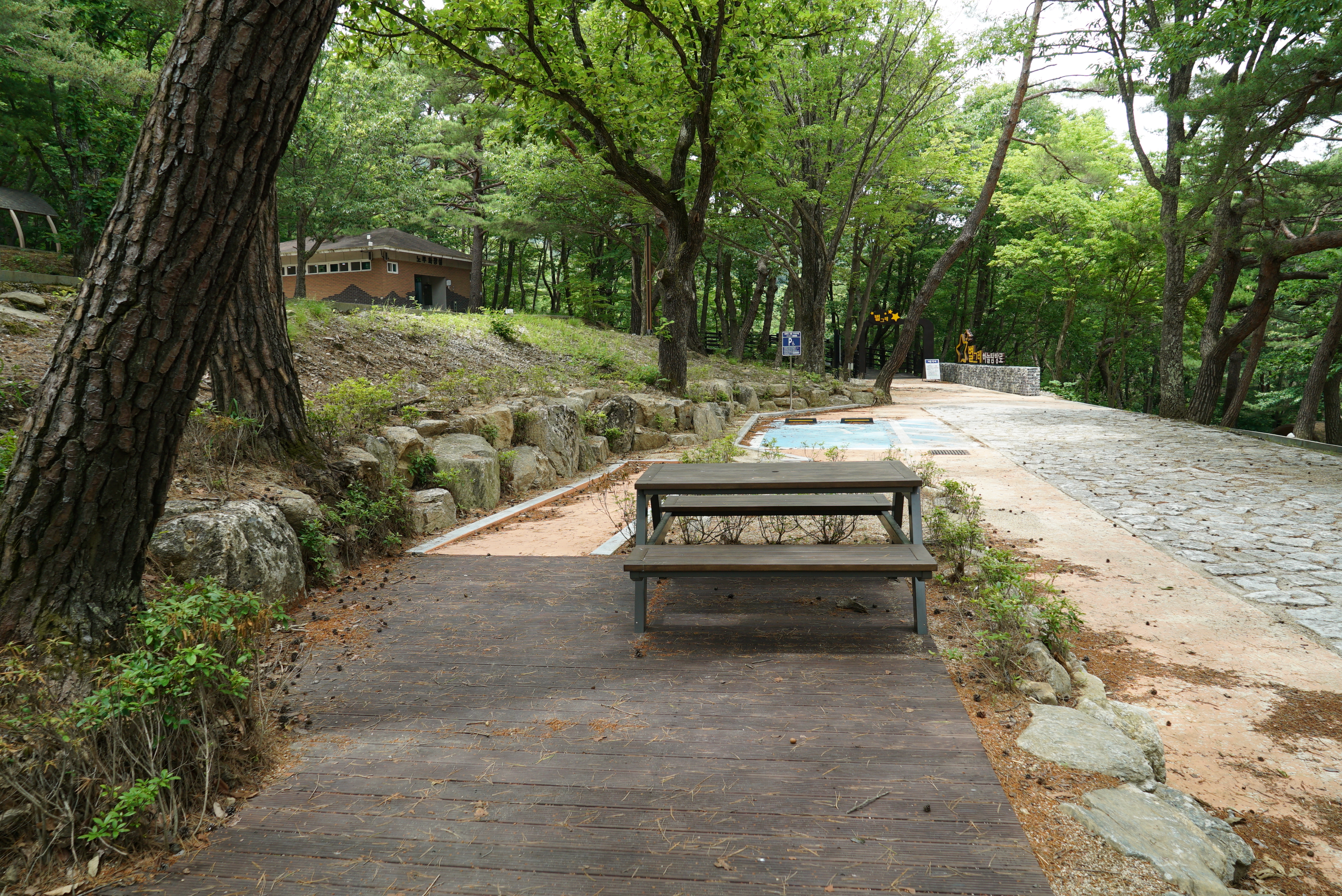 덕유대자동차야영장 이미지