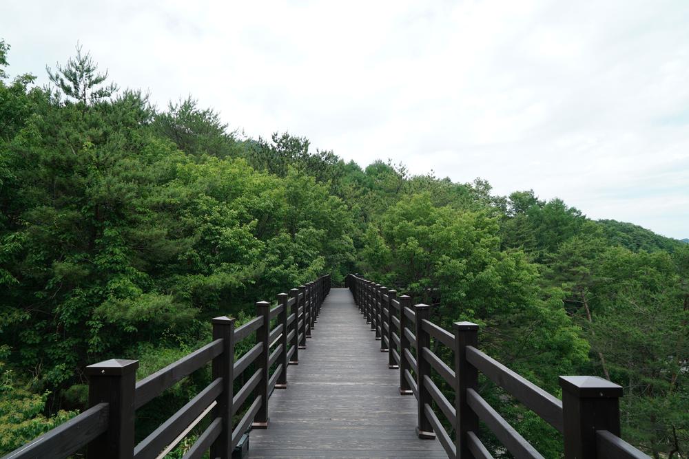 덕유대자동차야영장