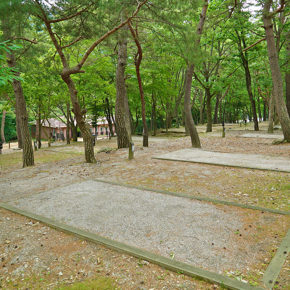 덕유대자동차야영장