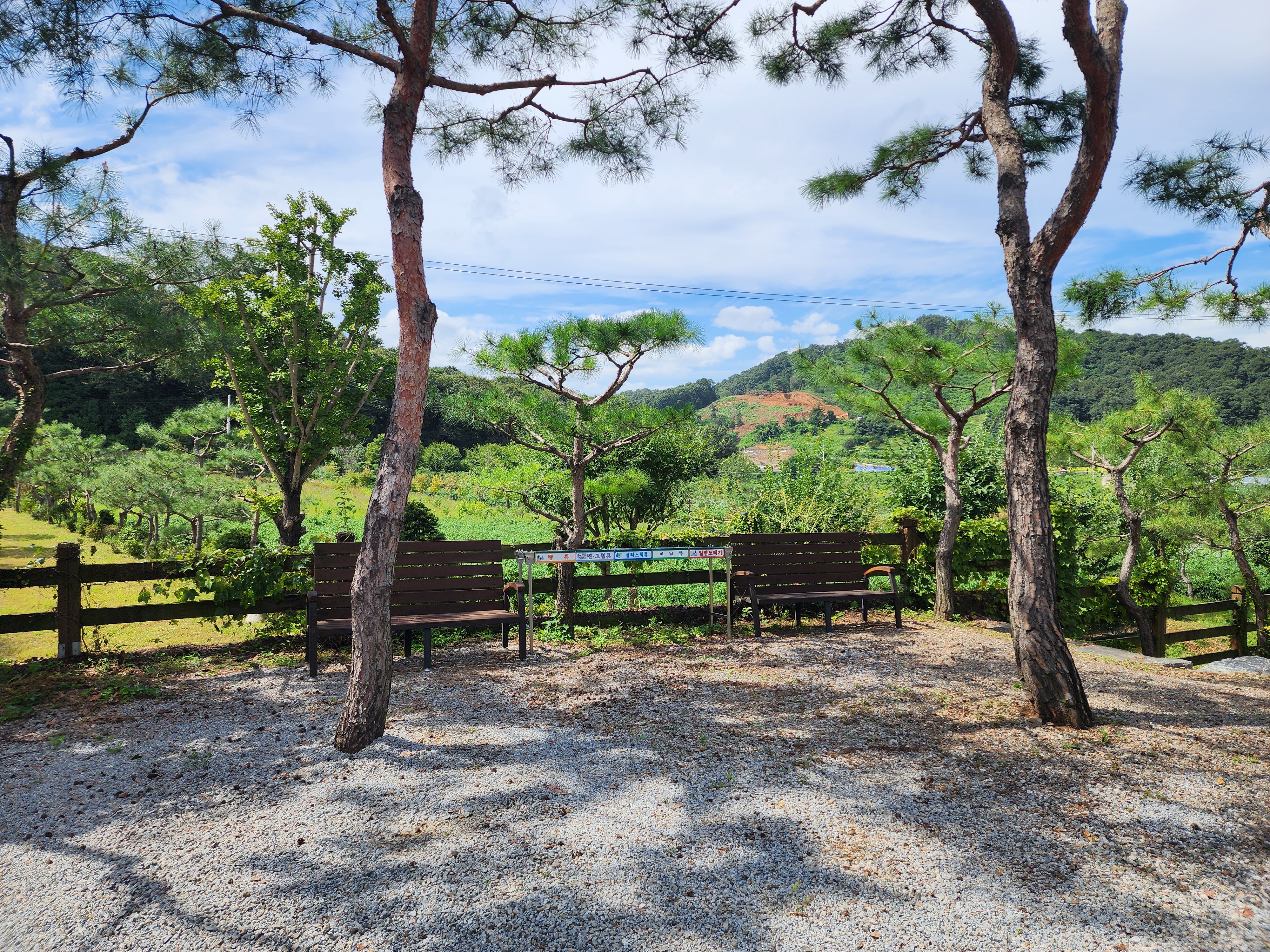 아미캠핑장 11번째 이미지