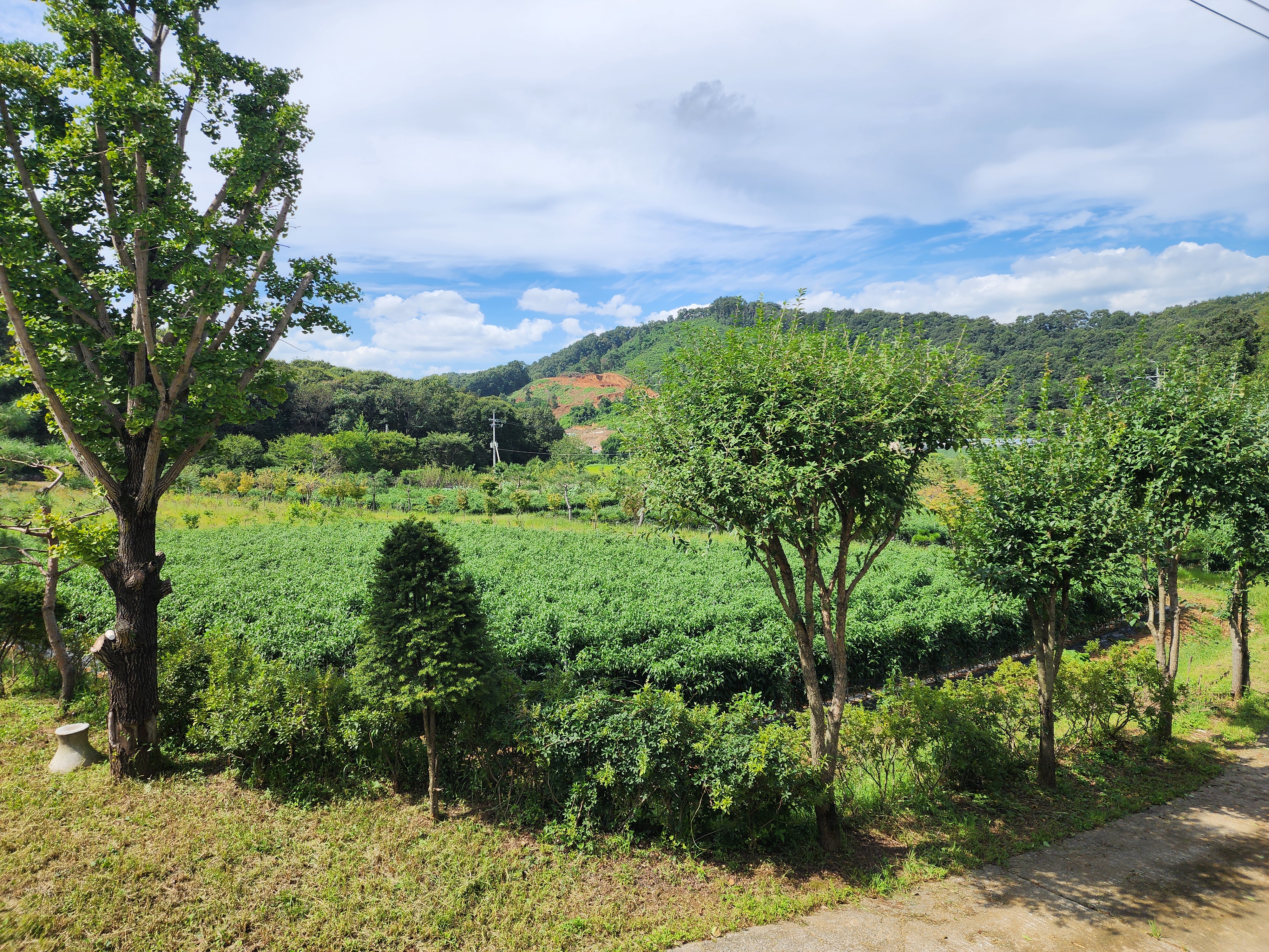 아미캠핑장 13번째 이미지