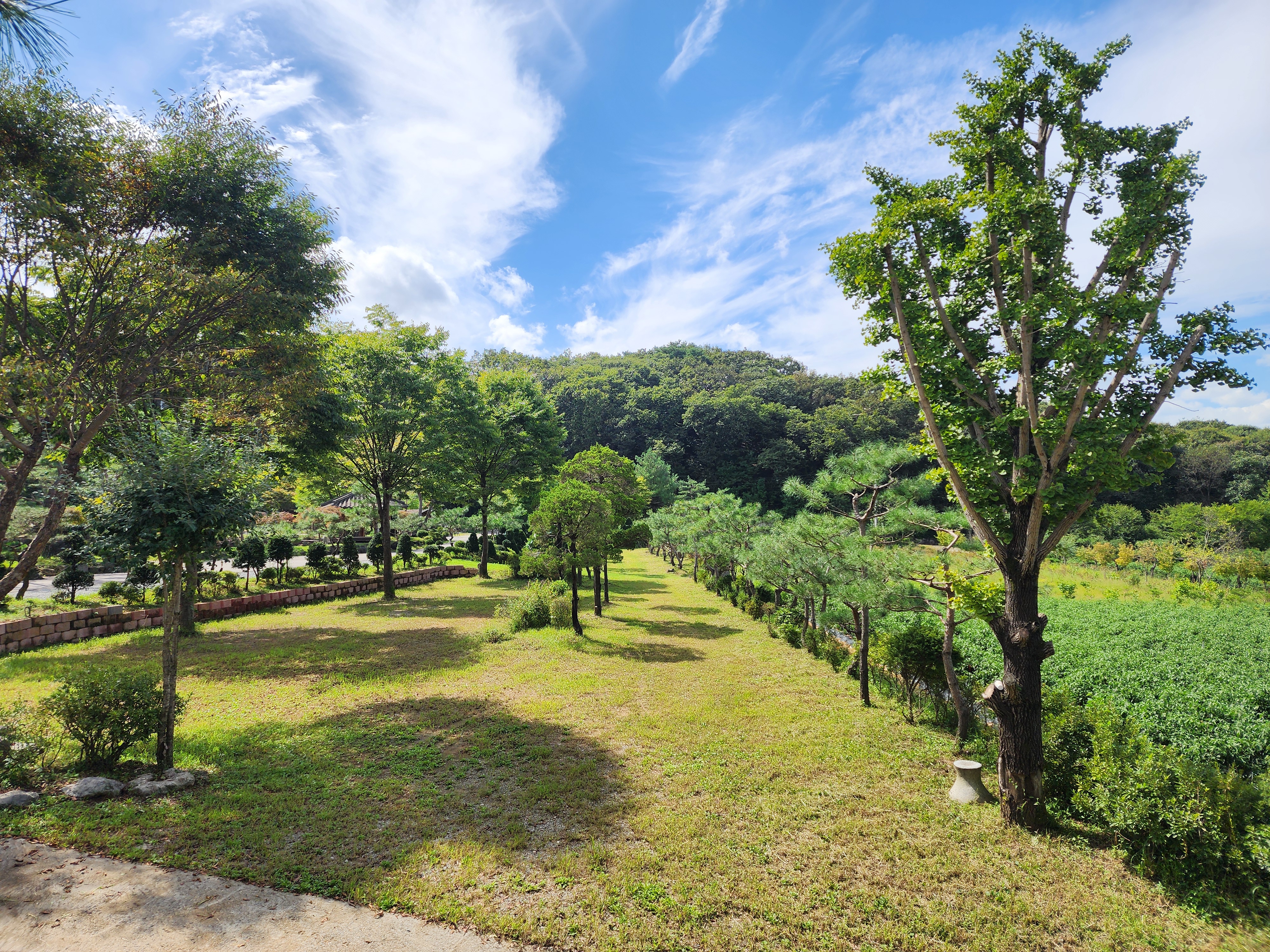 아미캠핑장 12번째 이미지