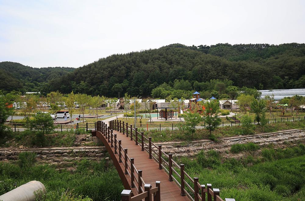 곰취향 가득한 팔랑골 캠핑장