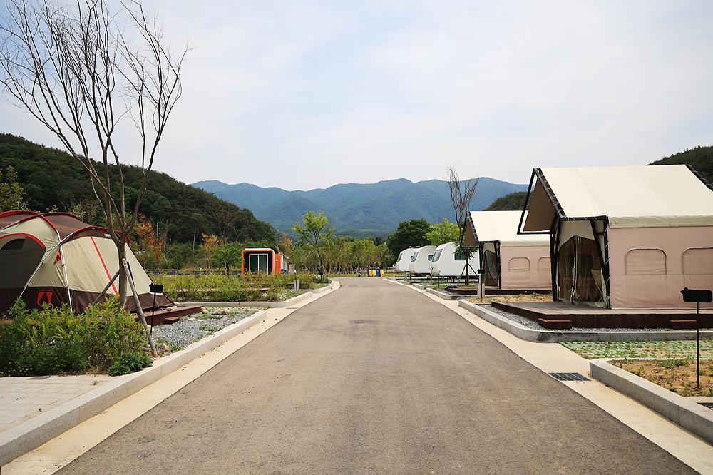 곰취향 가득한 팔랑골 캠핑장