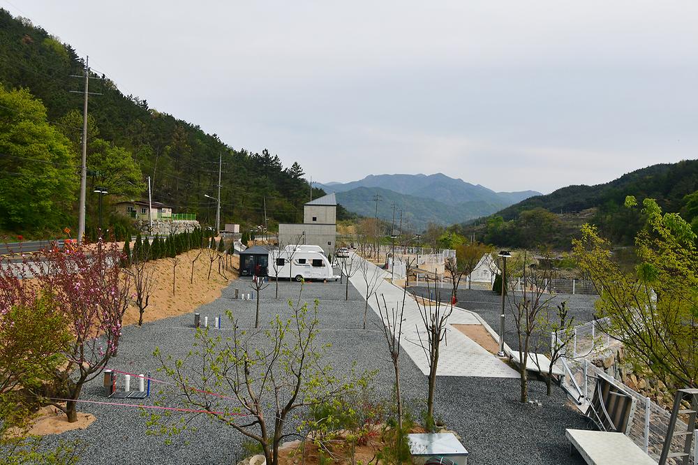 내를 건너서 숲으로 캠핑장