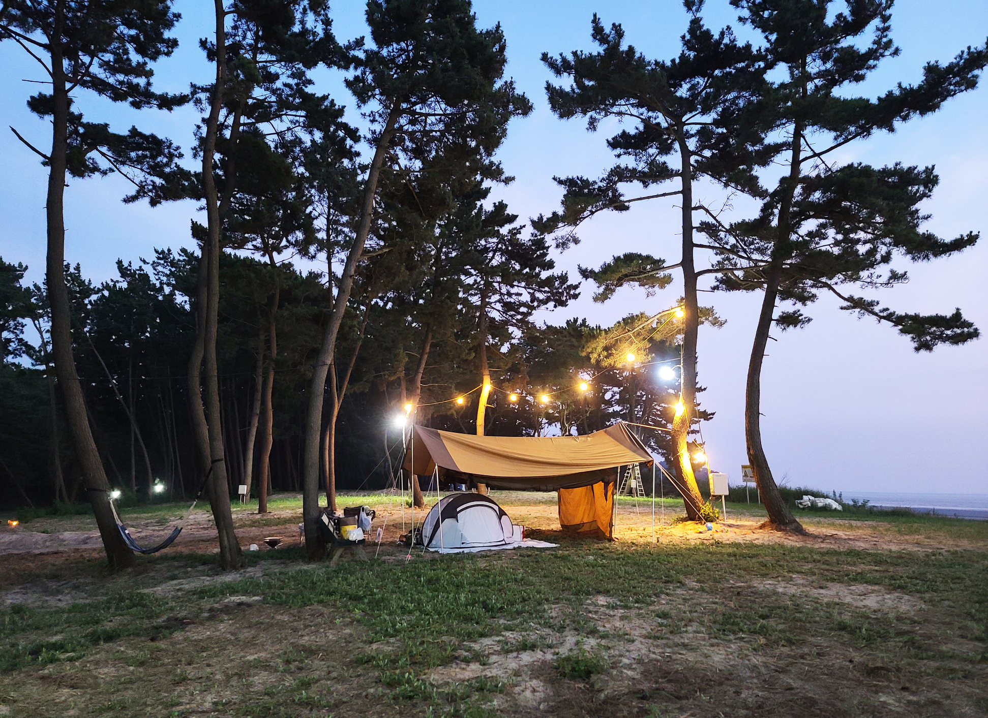 태안노을숲캠핑장 2