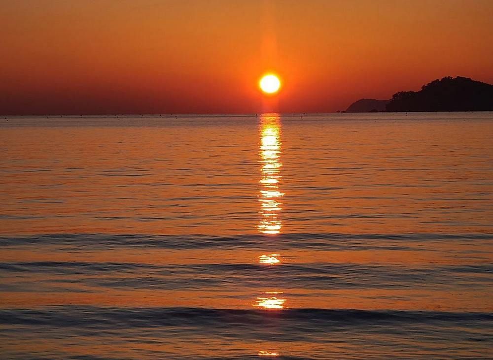 태안노을숲캠핑장