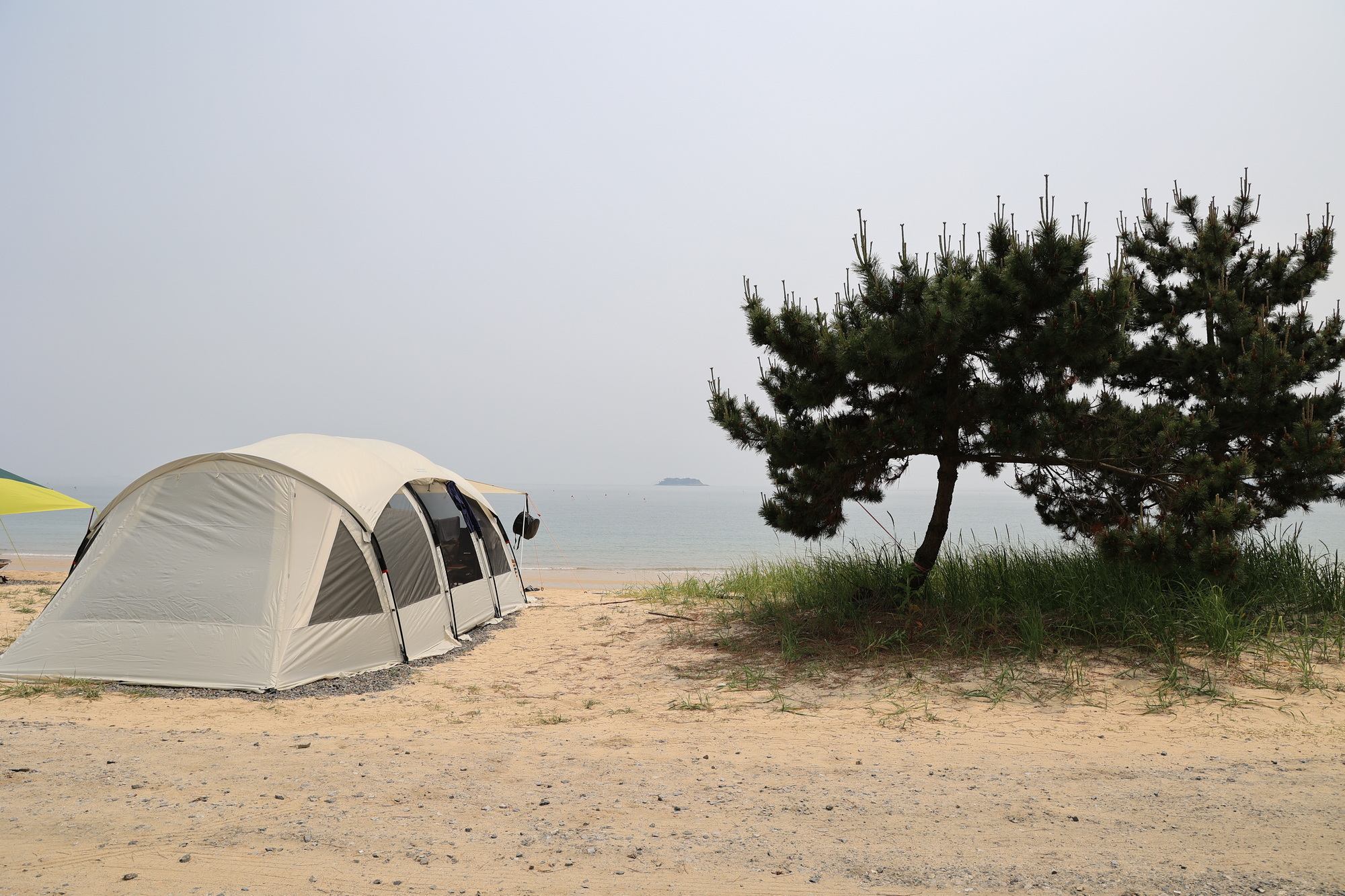 보령 해씨유 8