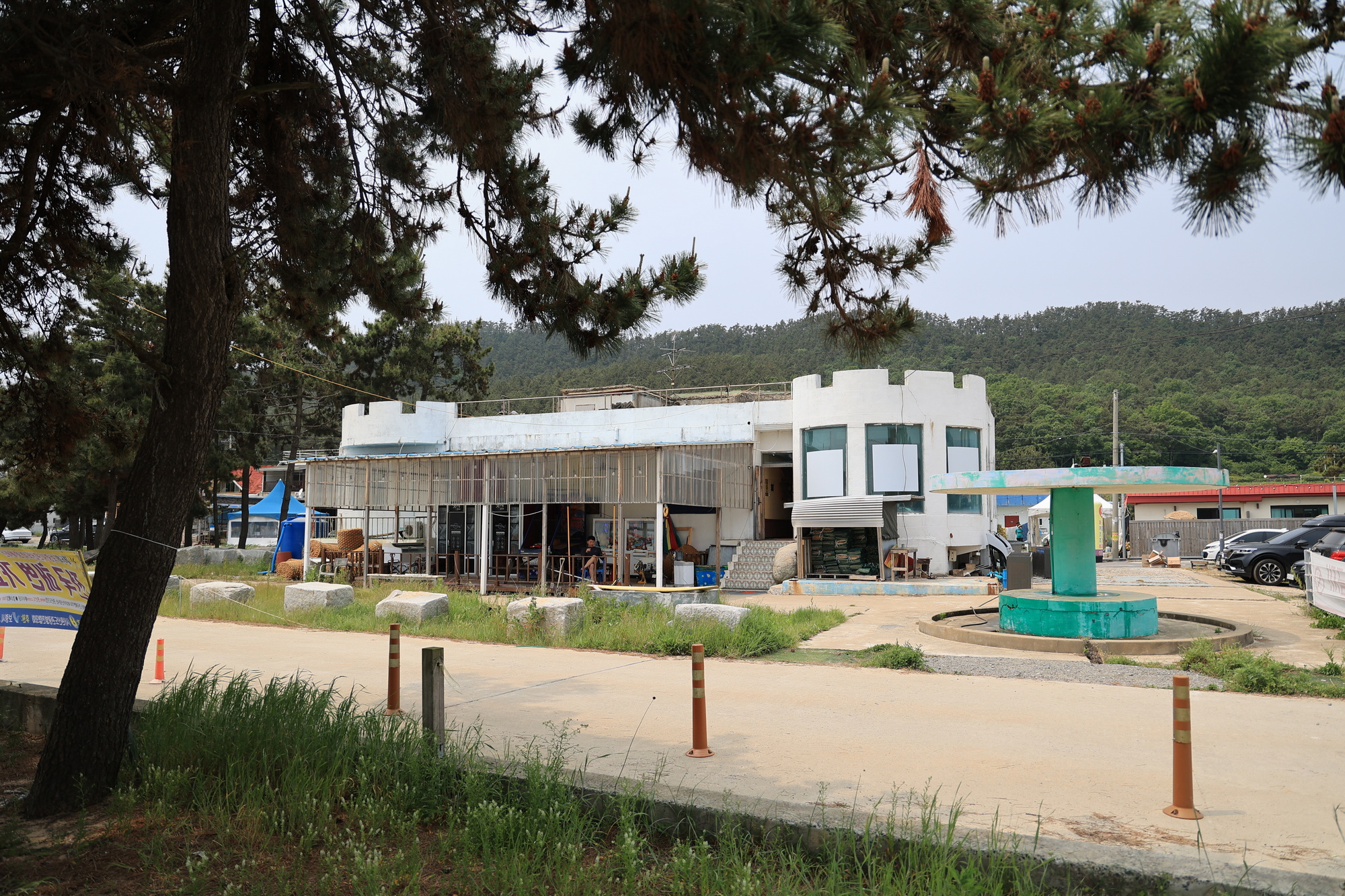 보령 해씨유 5