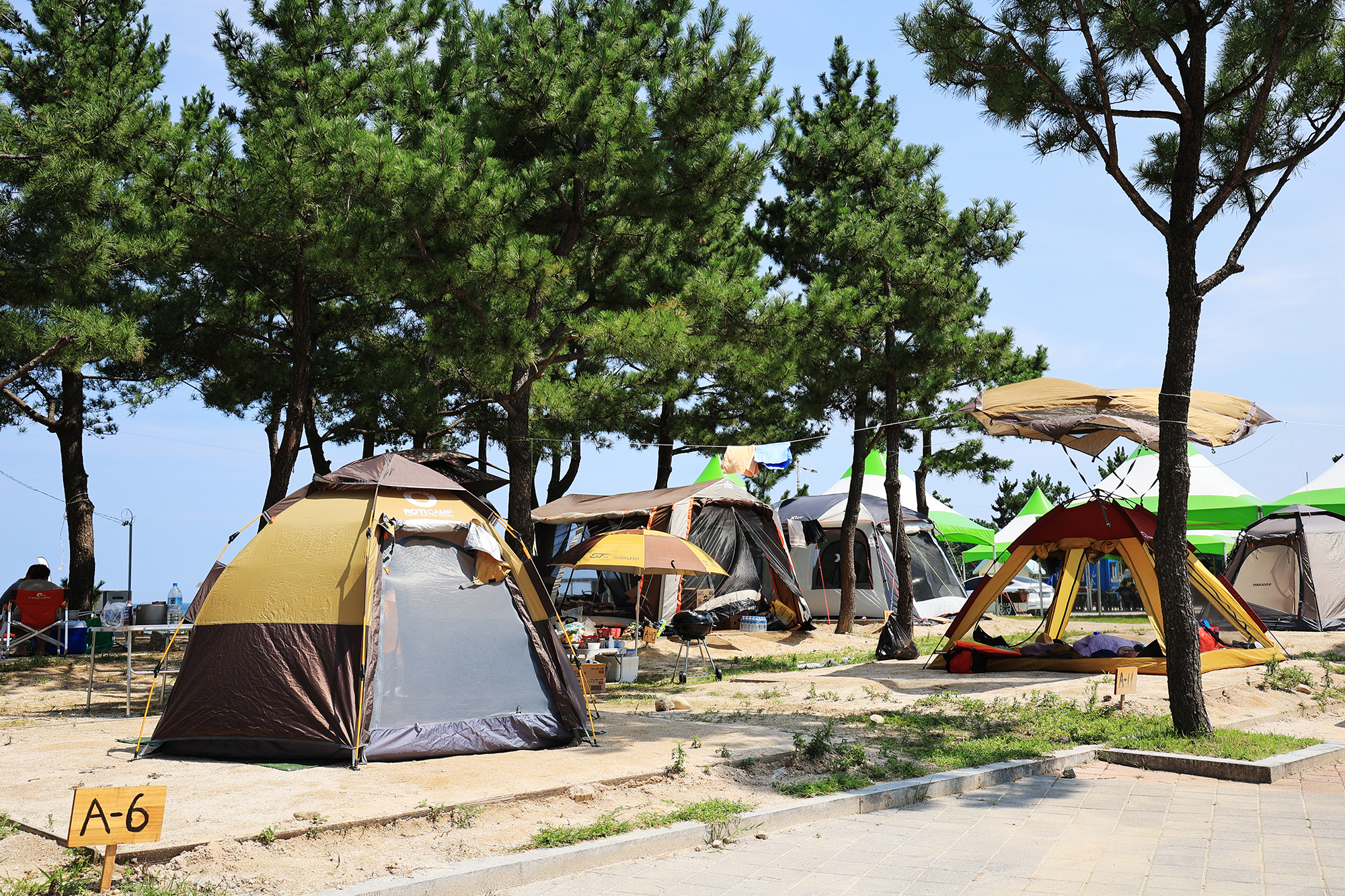 봉수대 해변 야영장 4번째 이미지