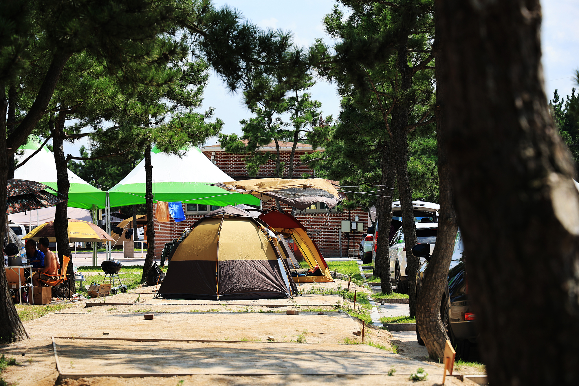 봉수대 해변 야영장 3번째 이미지